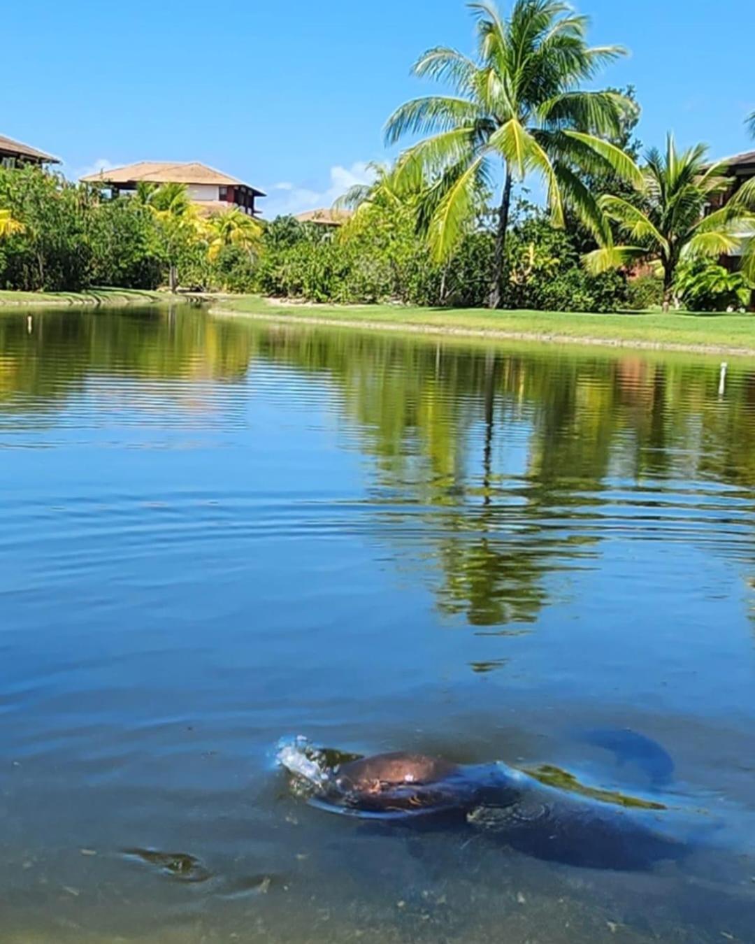 OÁSIS 606, Village dos Ipês, Piscinas Naturais