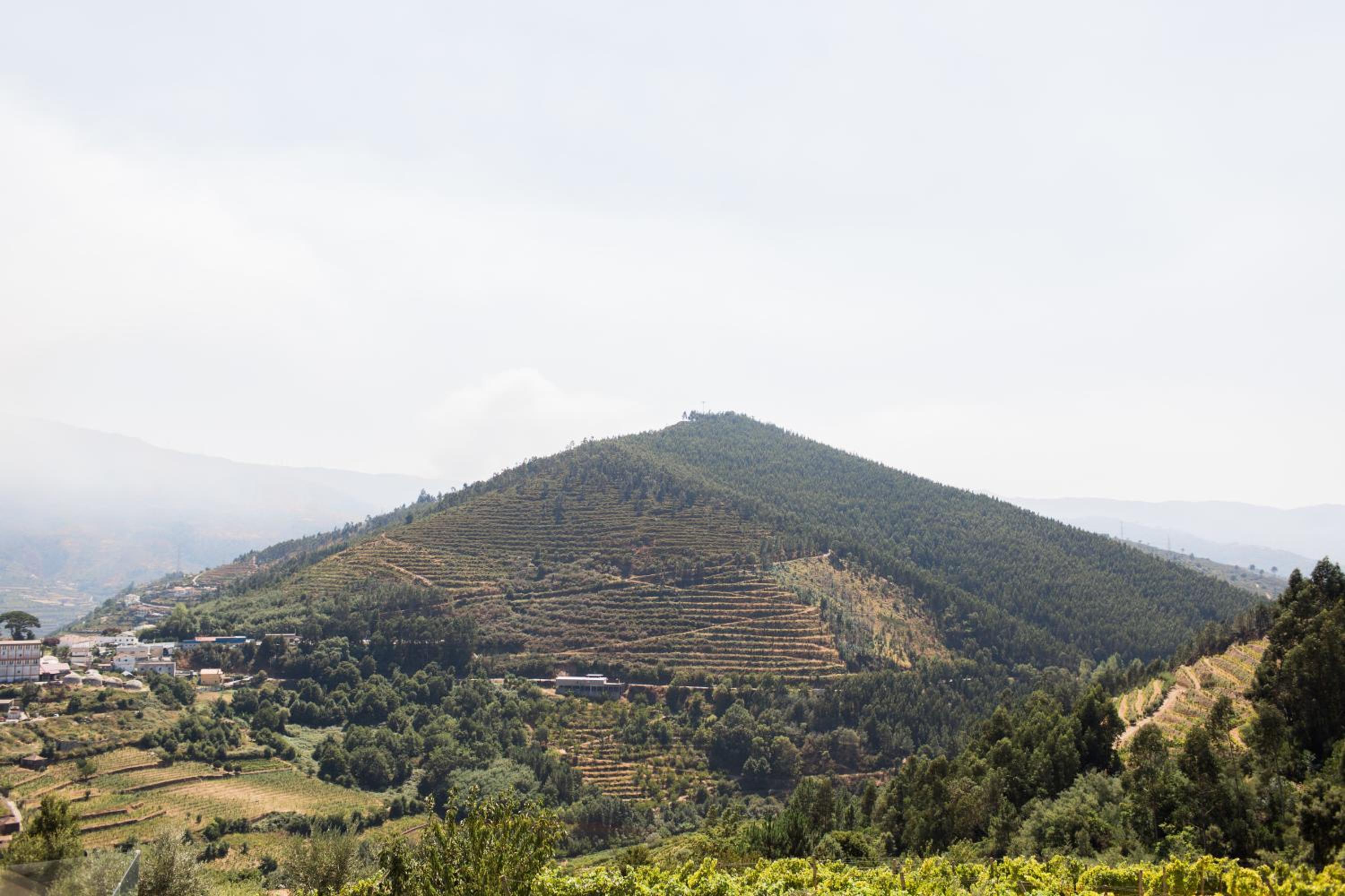 Quinta Do Bosque