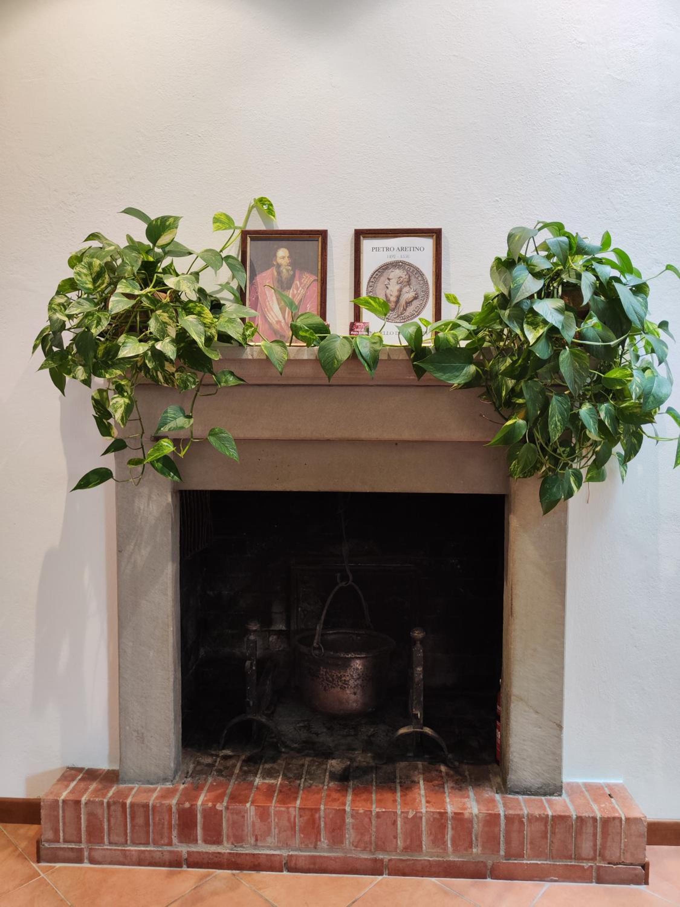 Photo 41