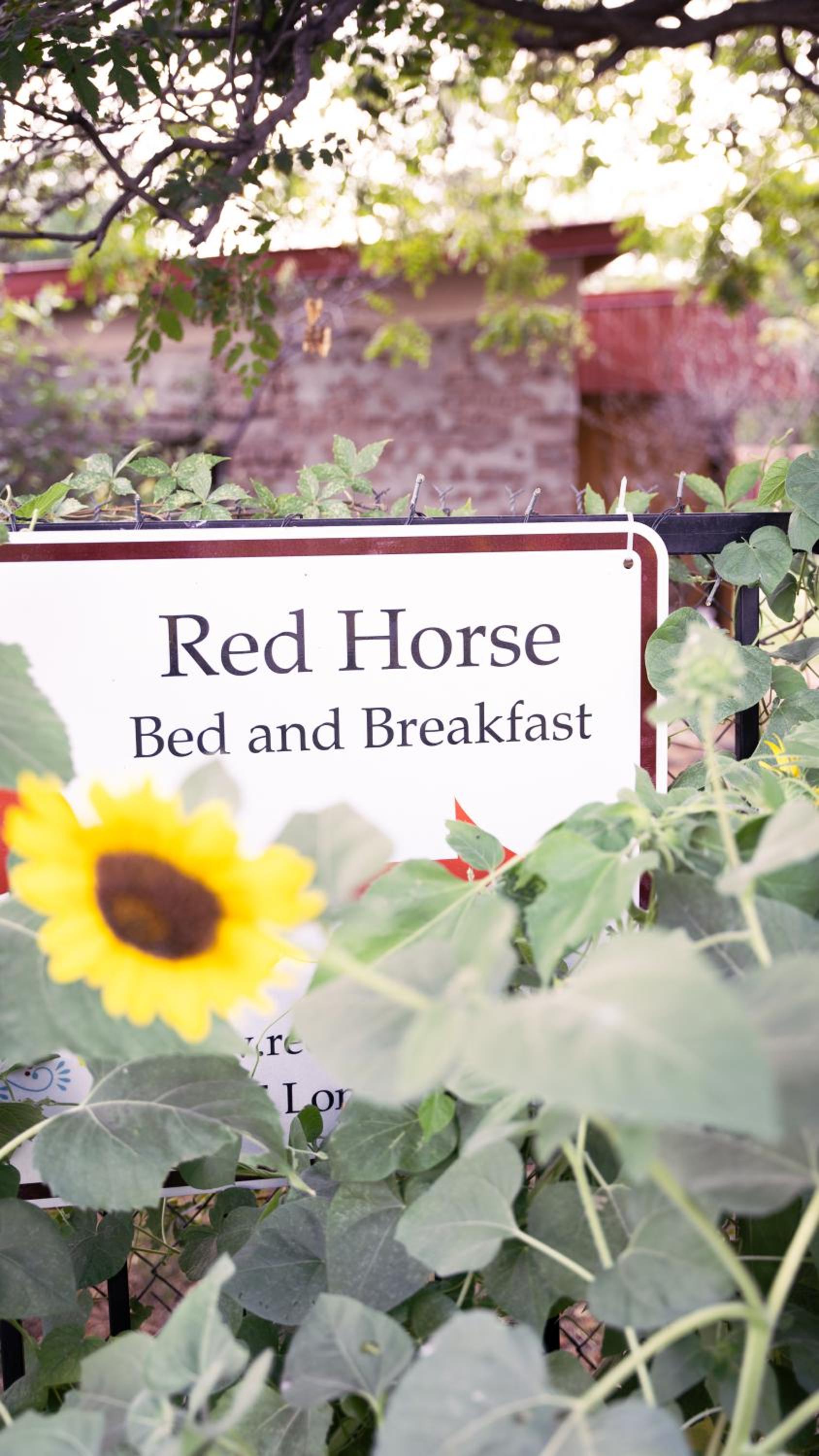 Red Horse Bed and Breakfast