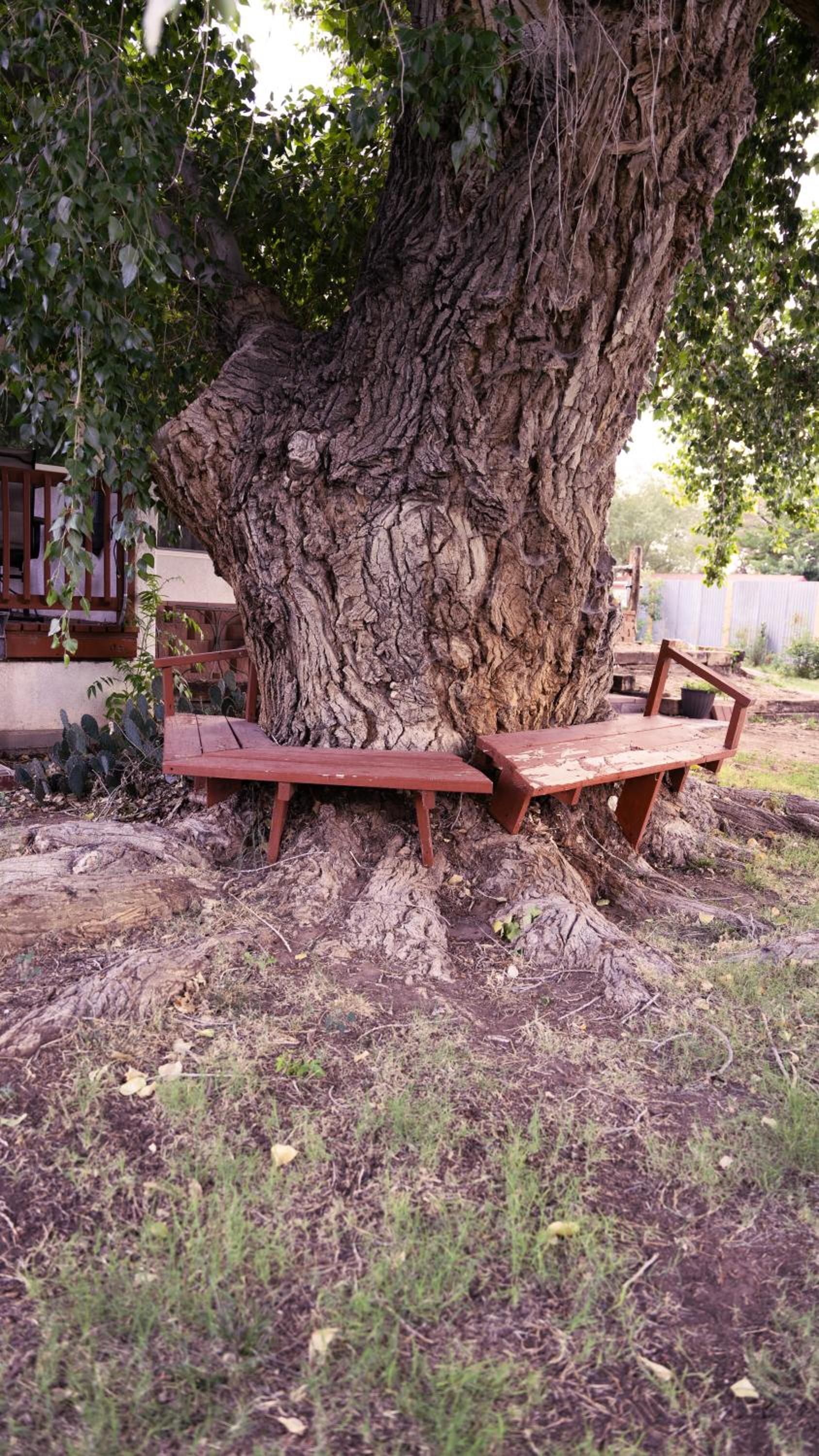 Red Horse Bed and Breakfast