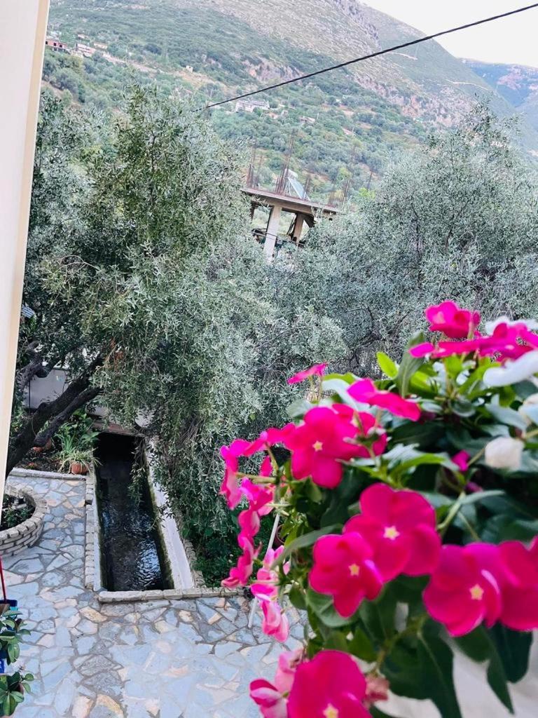 Villa Aristoteli