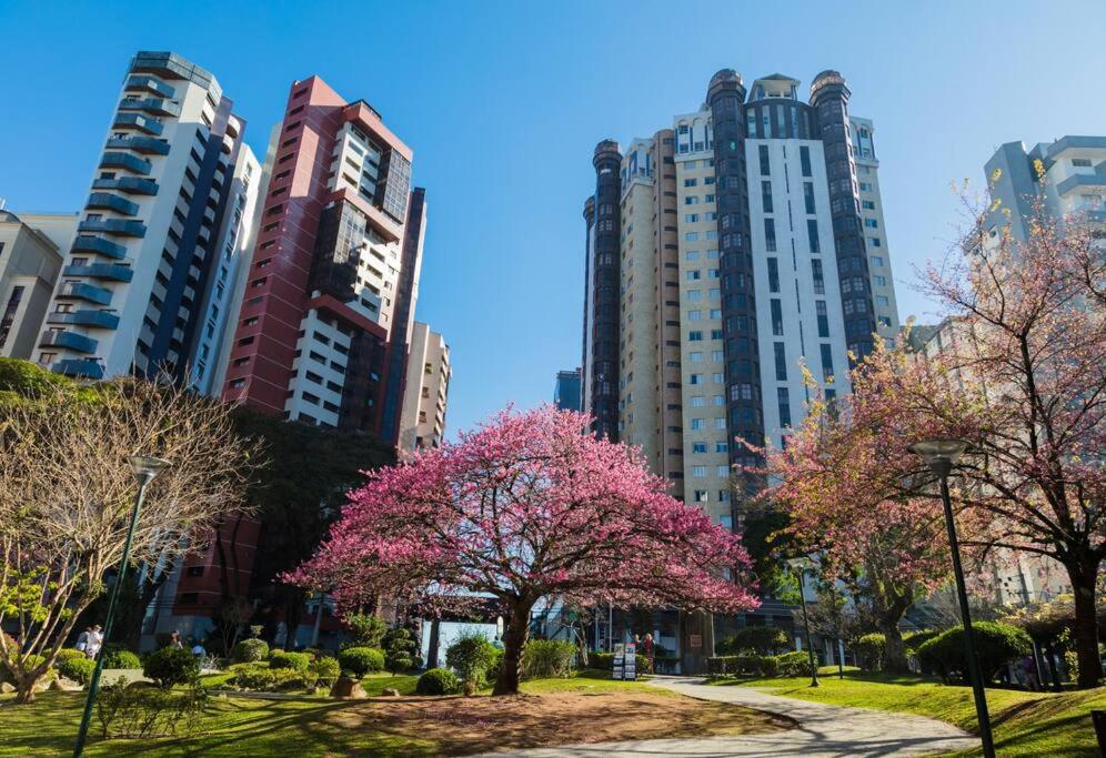 Cityappartement am Kirschberg