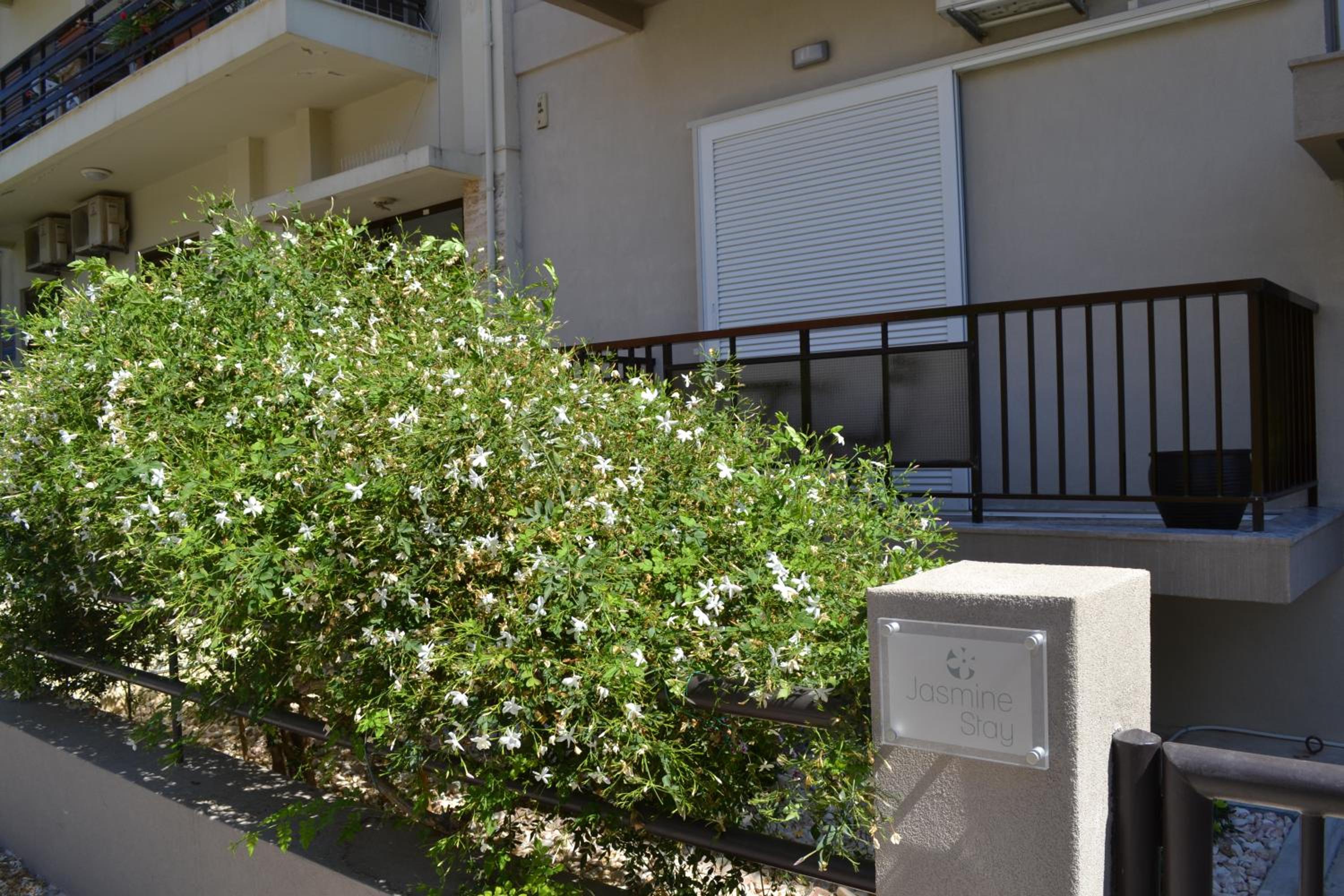 Photo 39