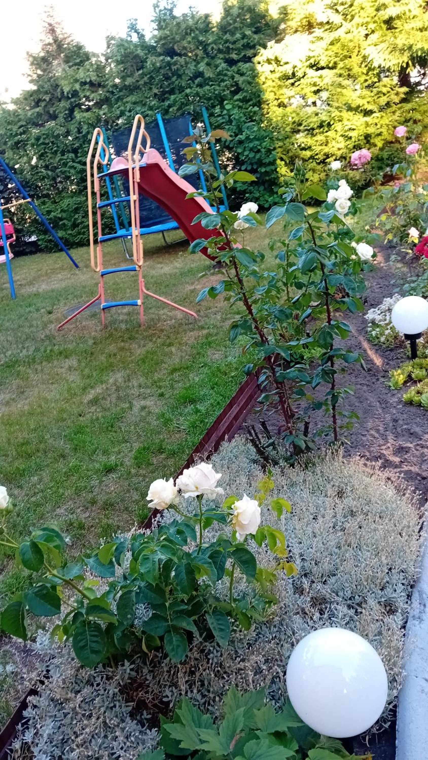 Photo 35