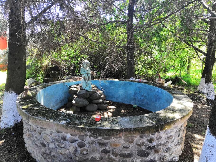 Hermosa cabaña en Amealco centro view 4