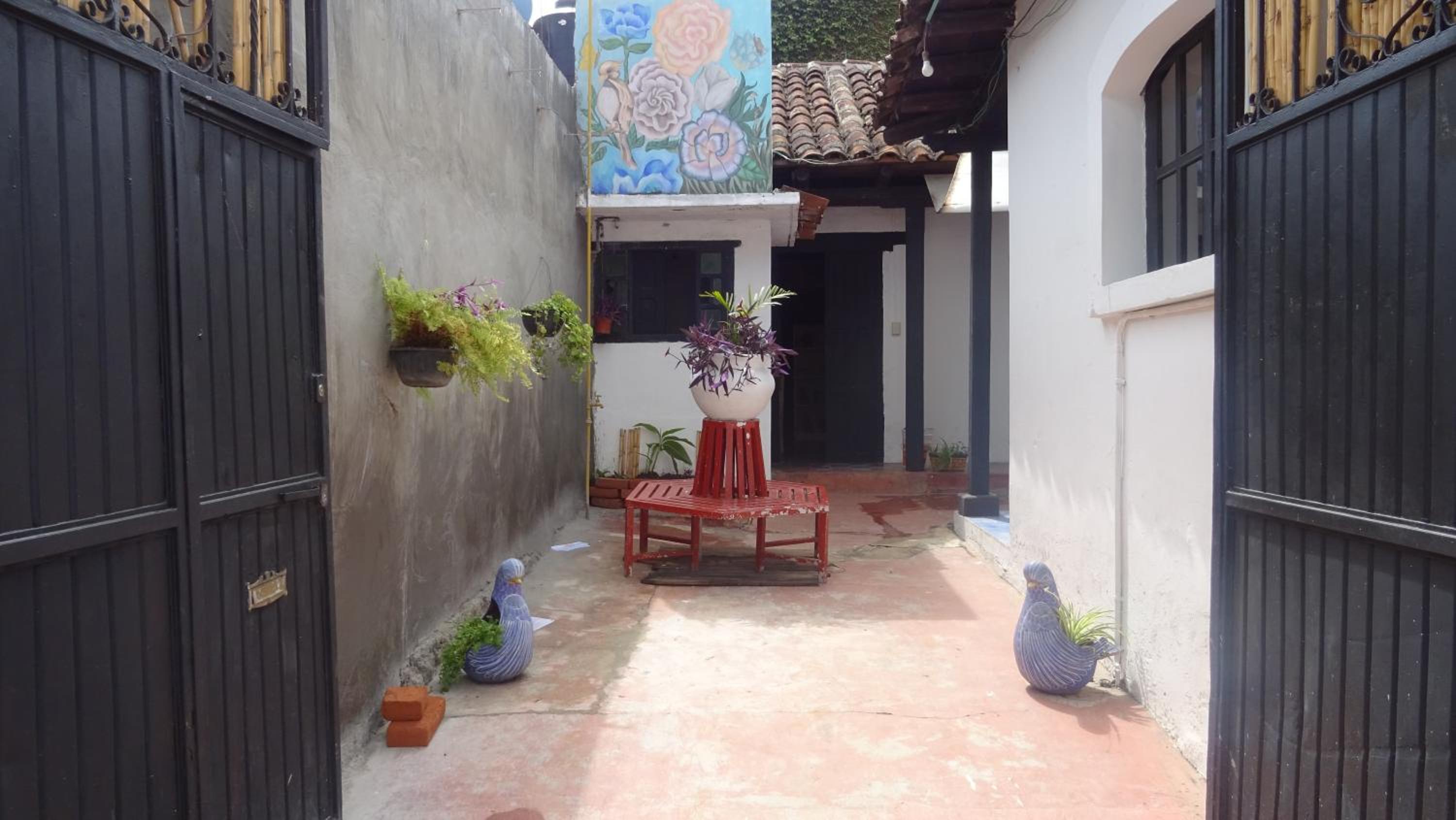 Photo 10