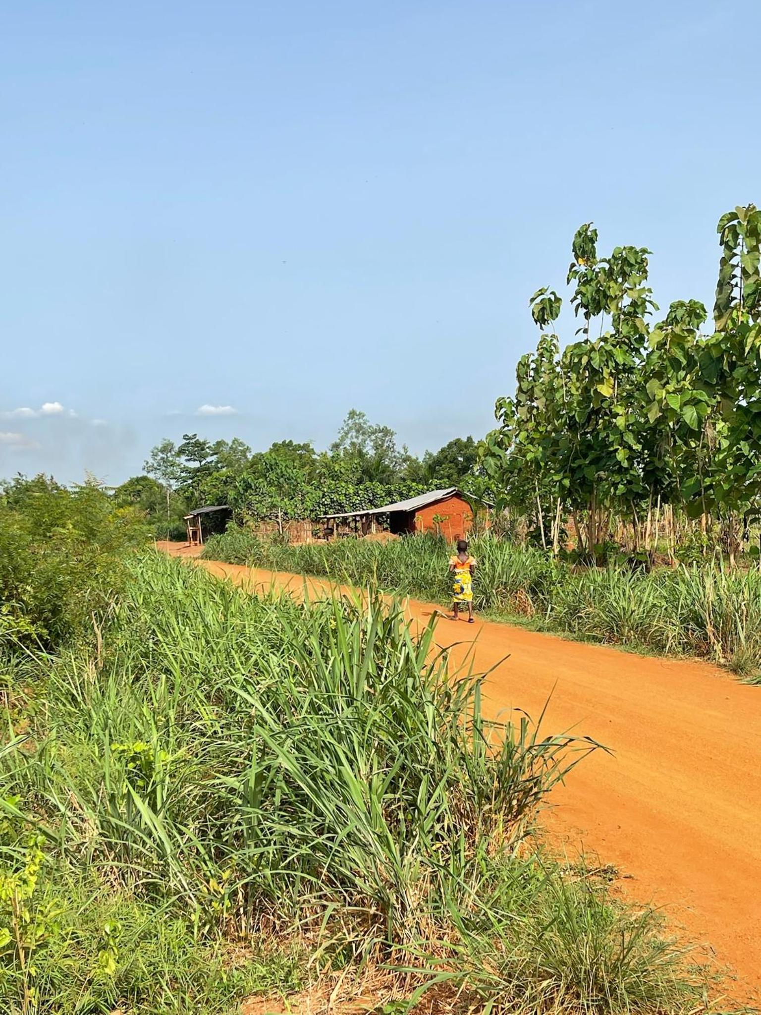 Jardin Nature