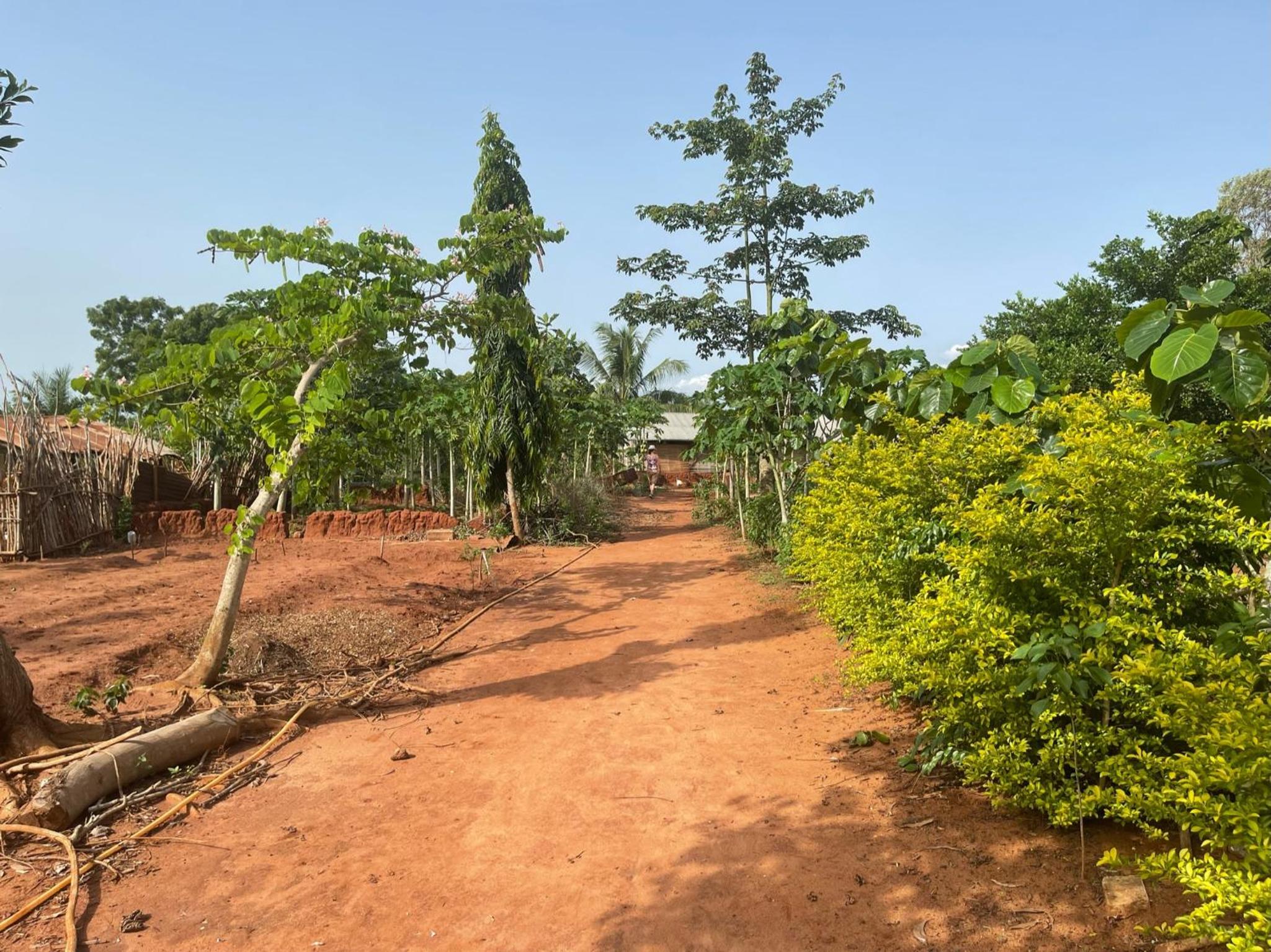Jardin Nature