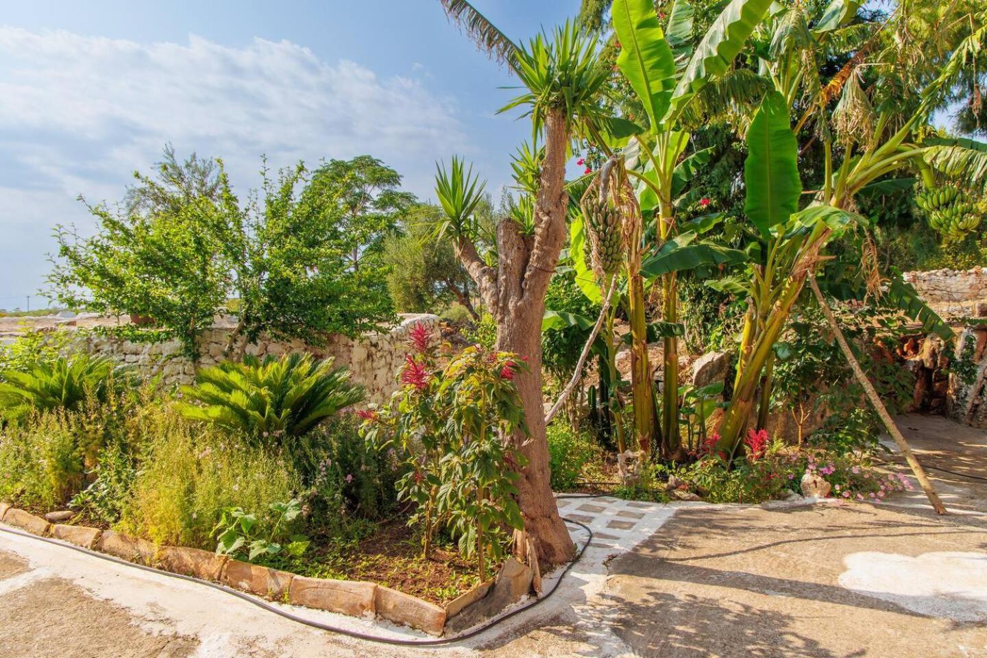 Iliana's house - spacious cave house in the center of Areopolis photo 4
