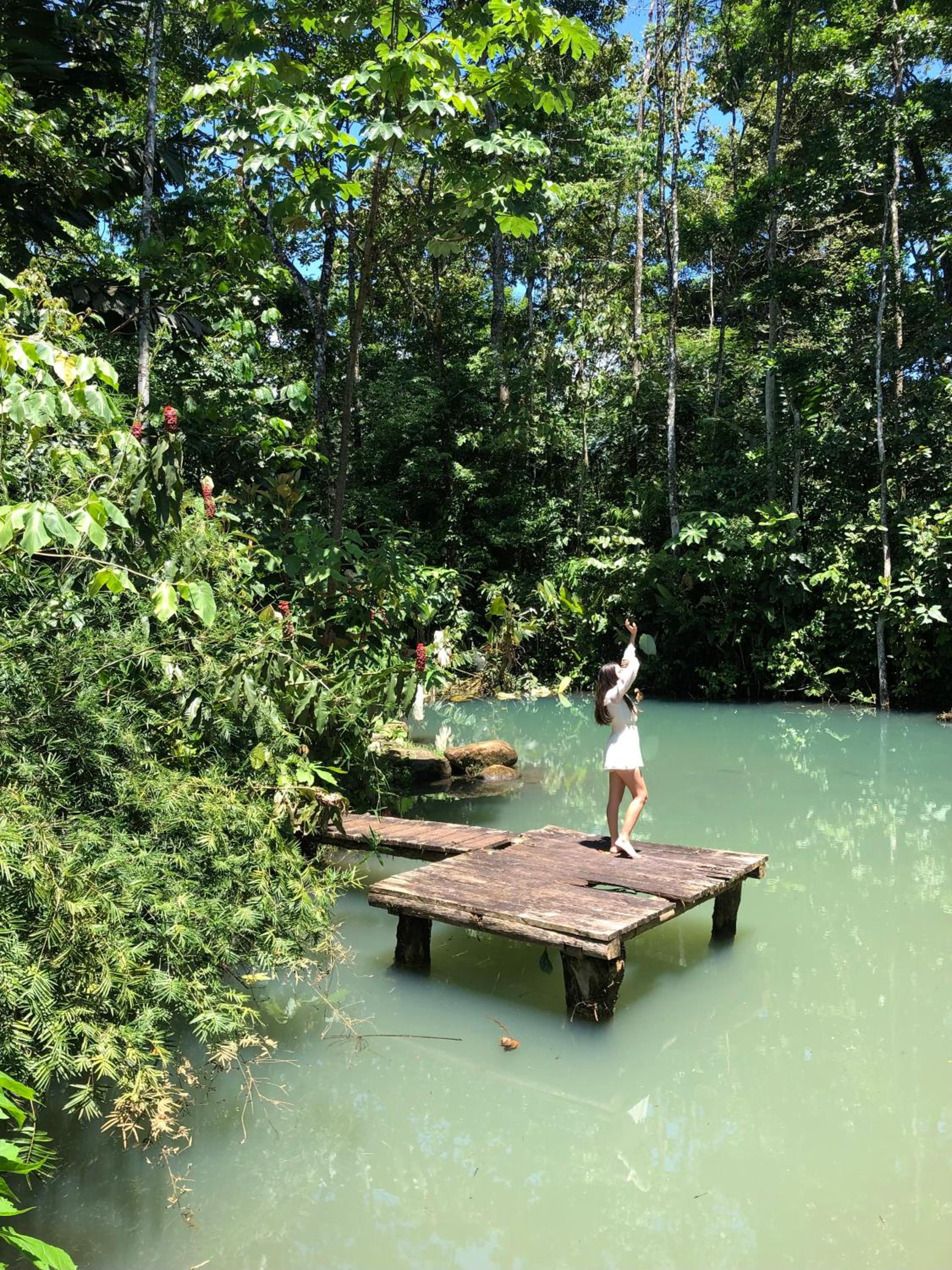 Santuario de Ranas - Explora nuestro paraíso natural