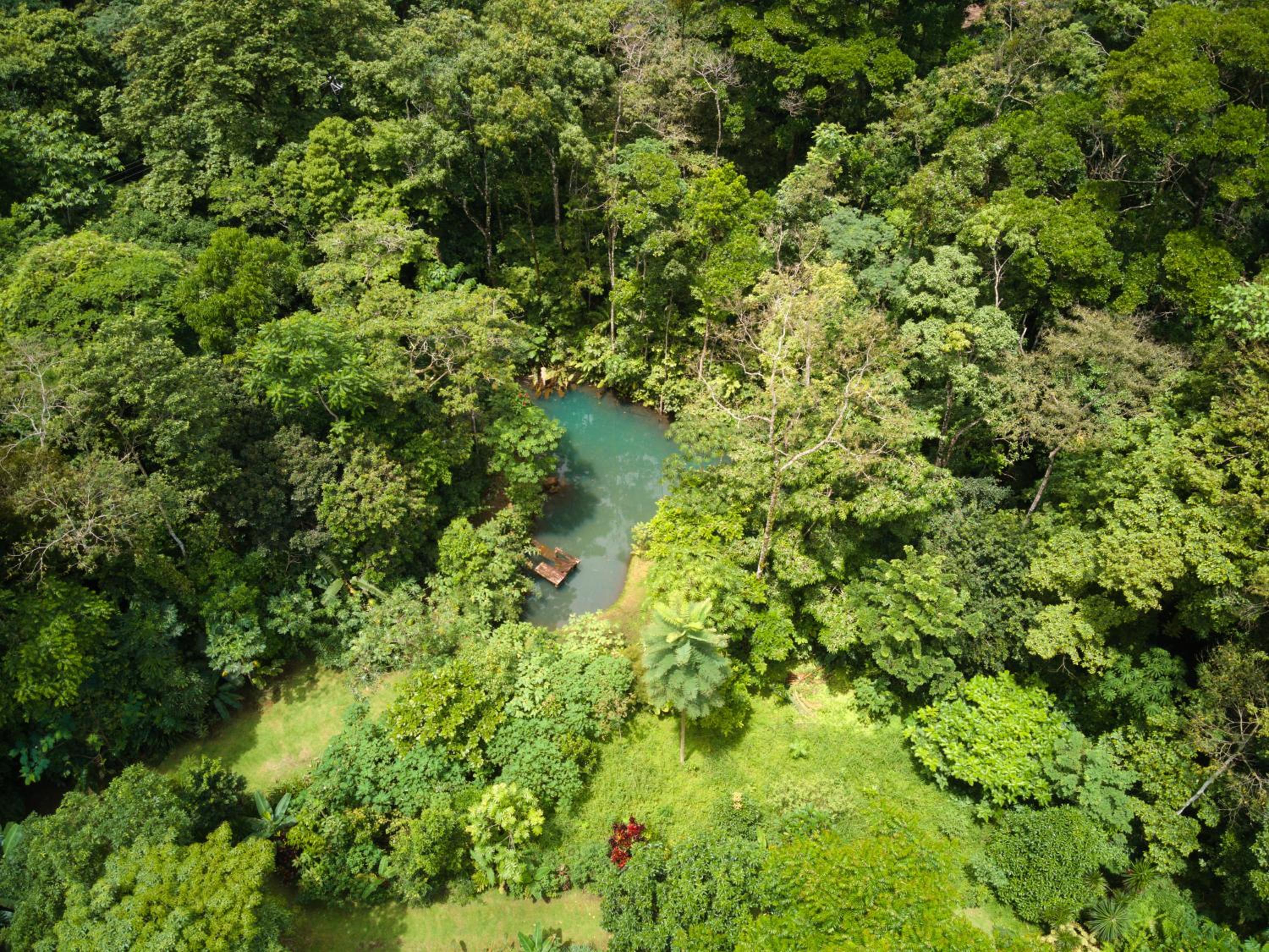 Santuario de Ranas - Explora nuestro paraíso natural