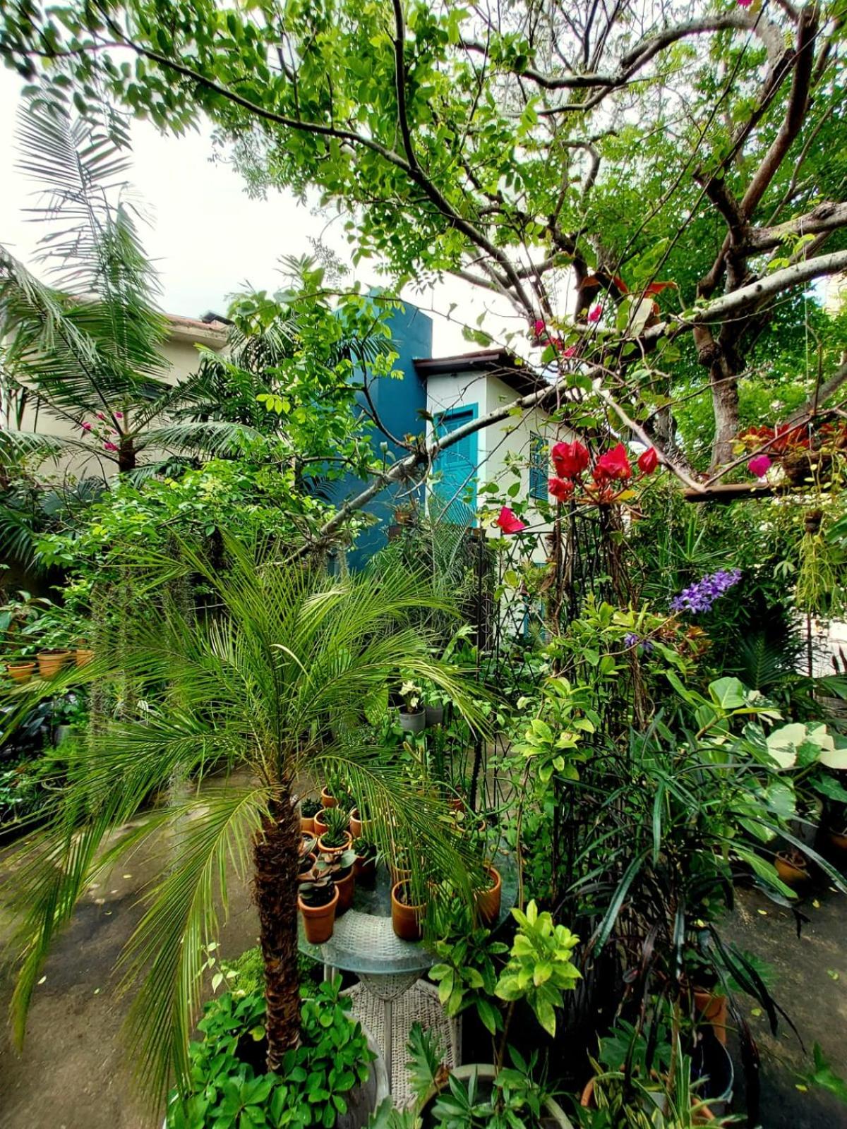 Residencial Casa Flor Atelier Botânico, Ponta Negra