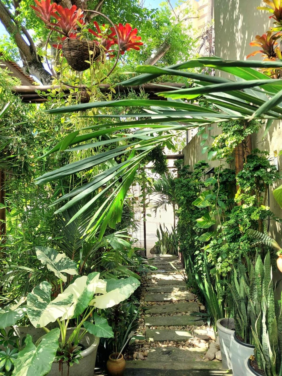 Residencial Casa Flor Atelier Botânico, Ponta Negra