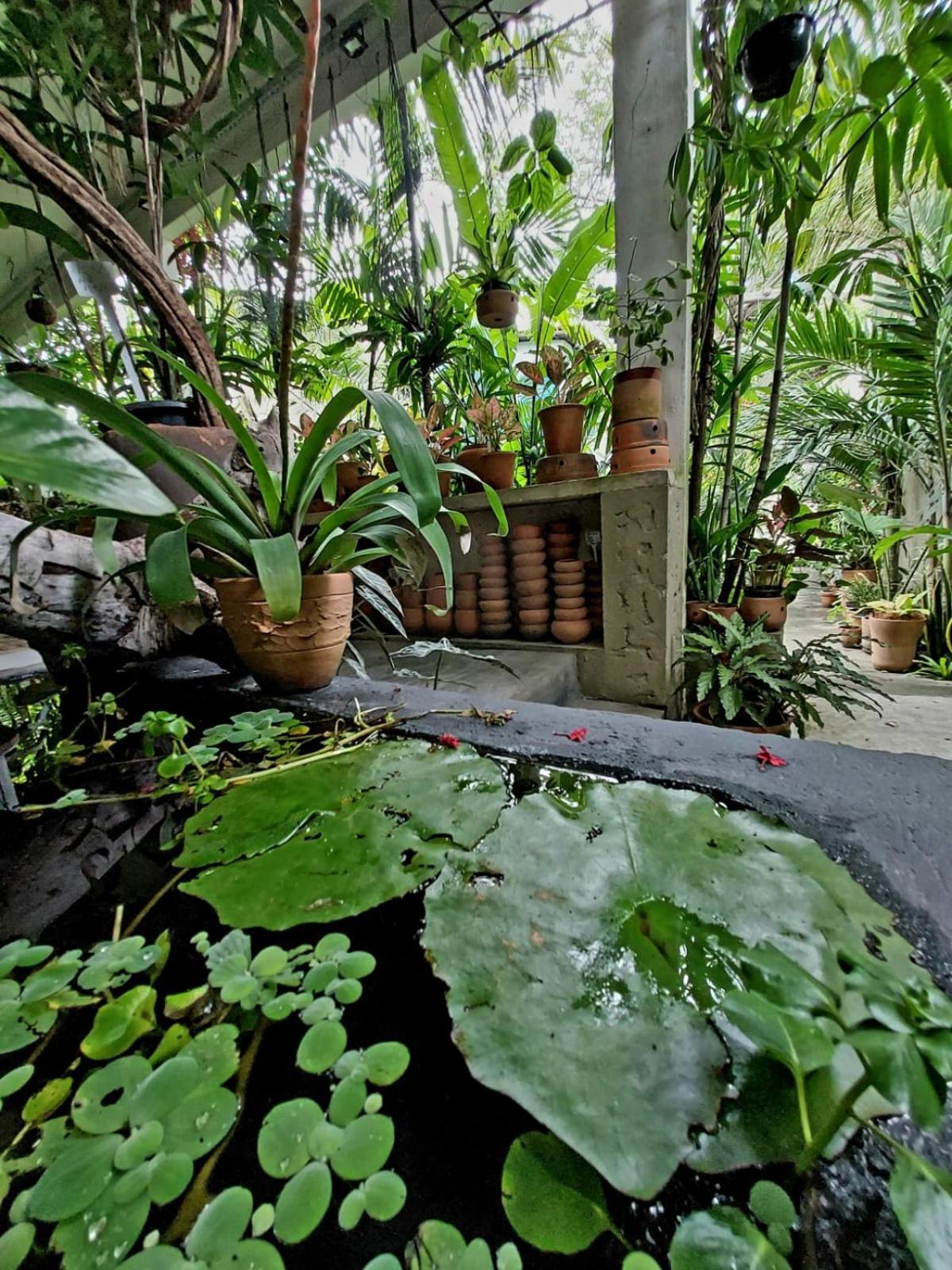Residencial Casa Flor Atelier Botânico, Ponta Negra