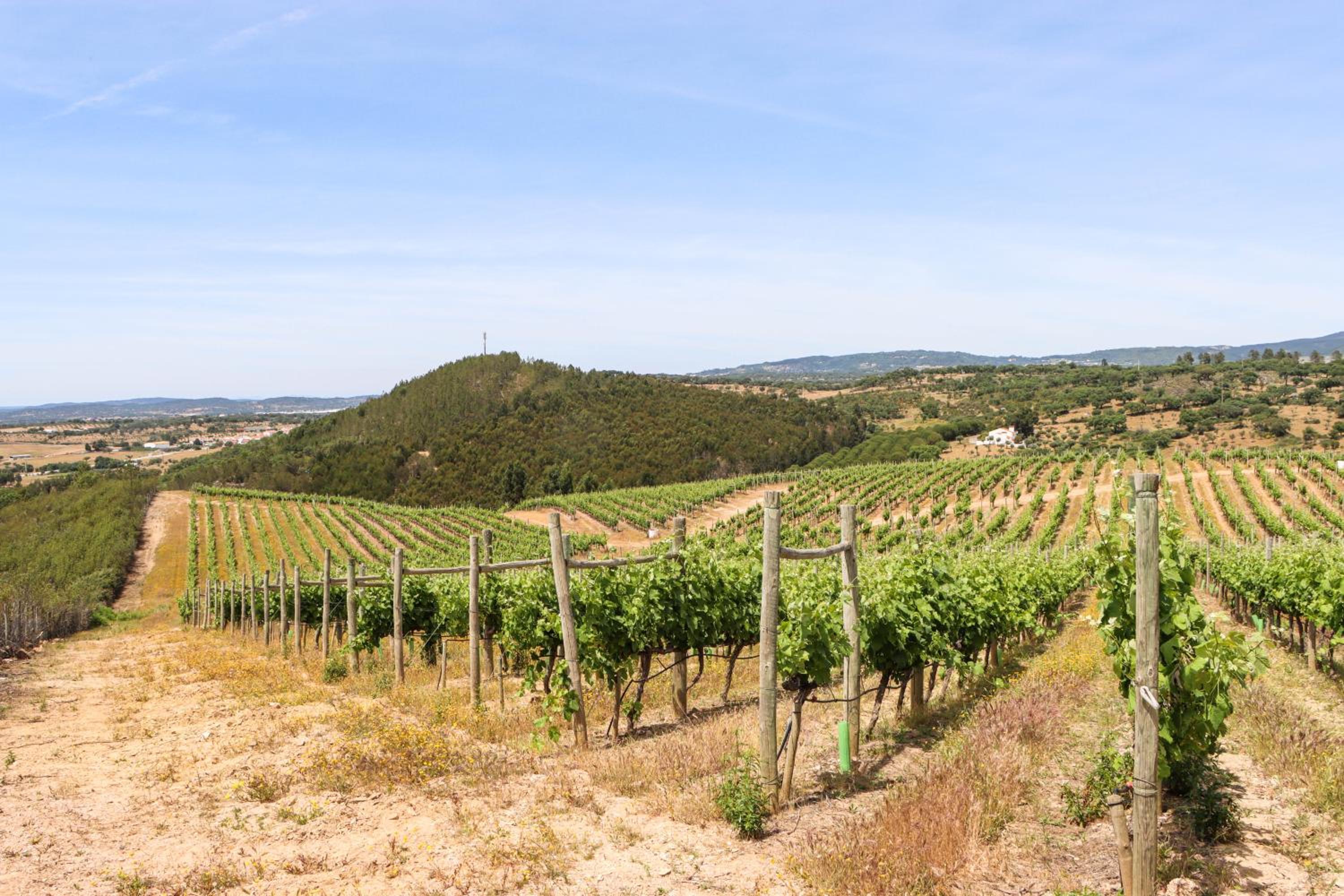 other