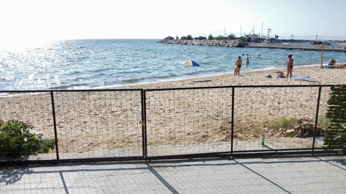 Photo 44