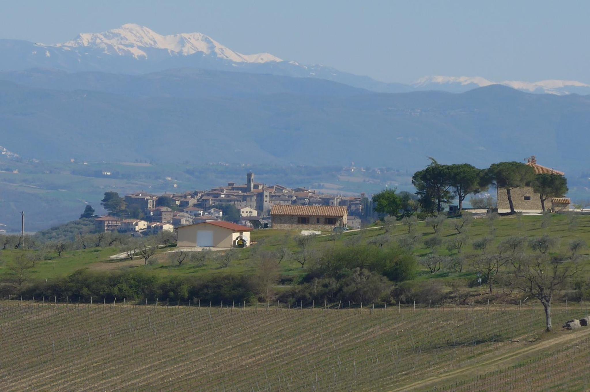 Agriturismo Il Sassolino view 3