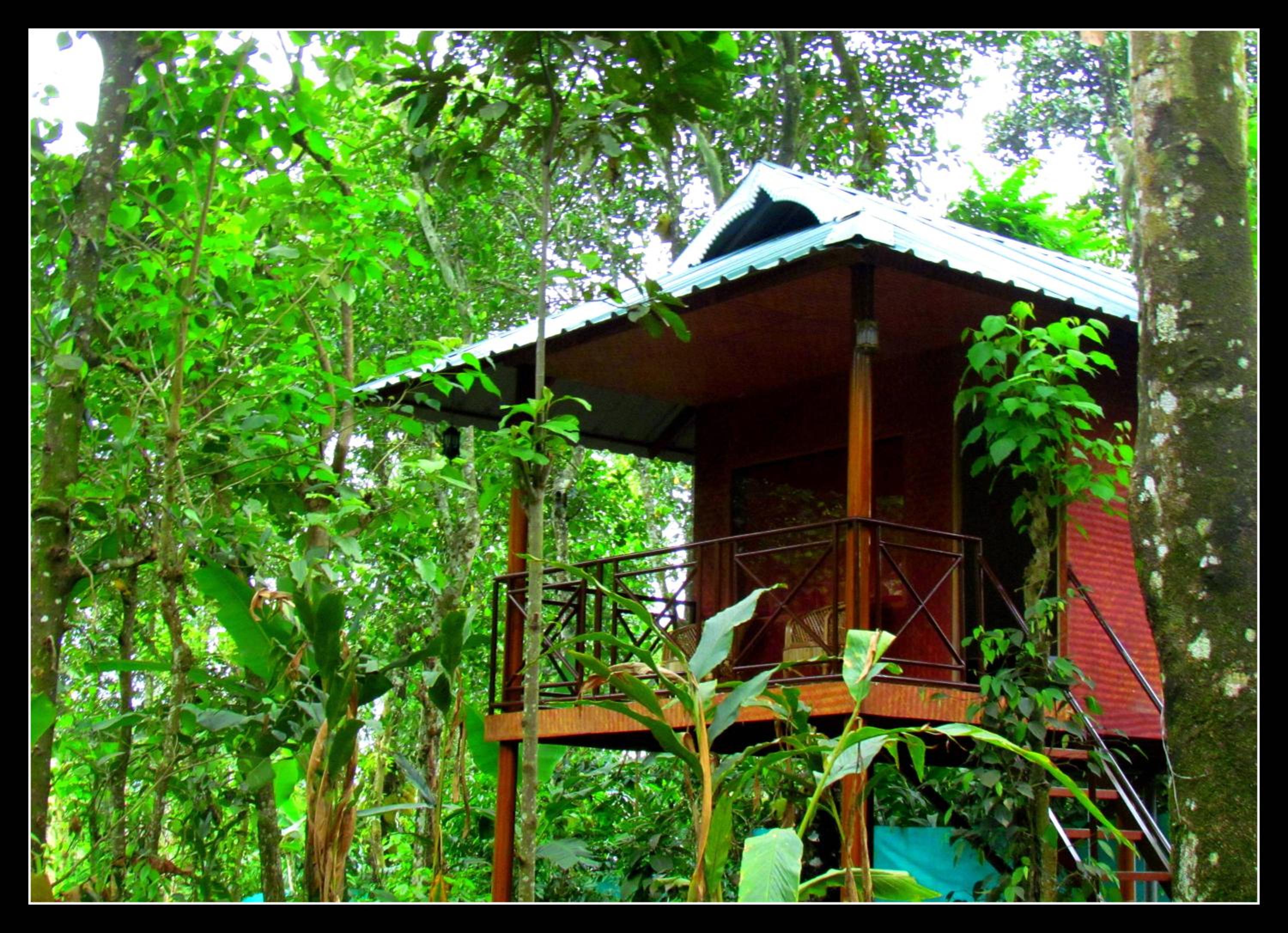 Monsoon Retreats Ecostay- Treehouse