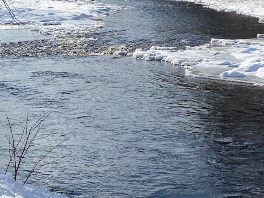 The AuSable House-Peaceful, pet friendly getaway view 5