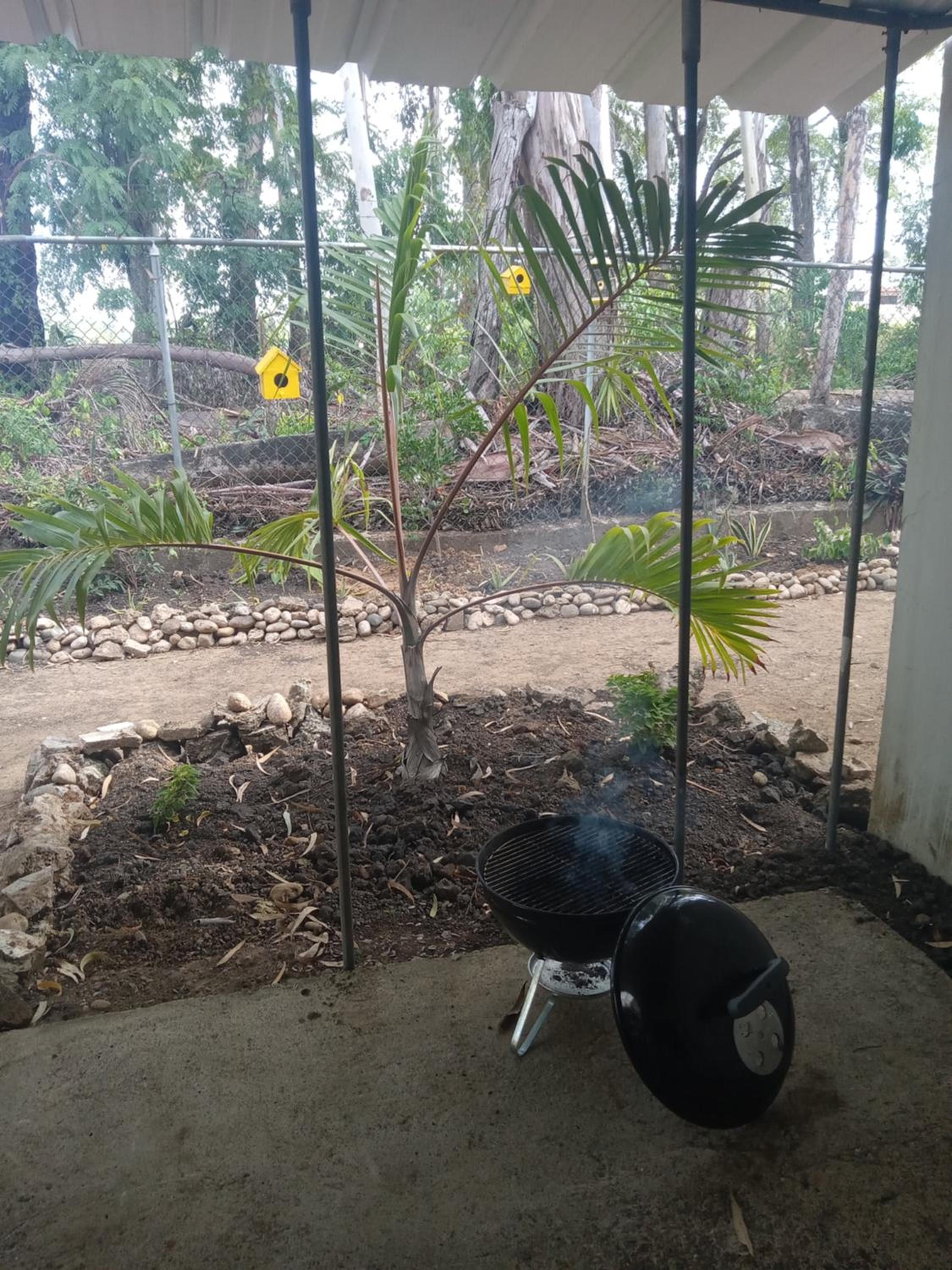 Tropical Optimal Tropicana Sur