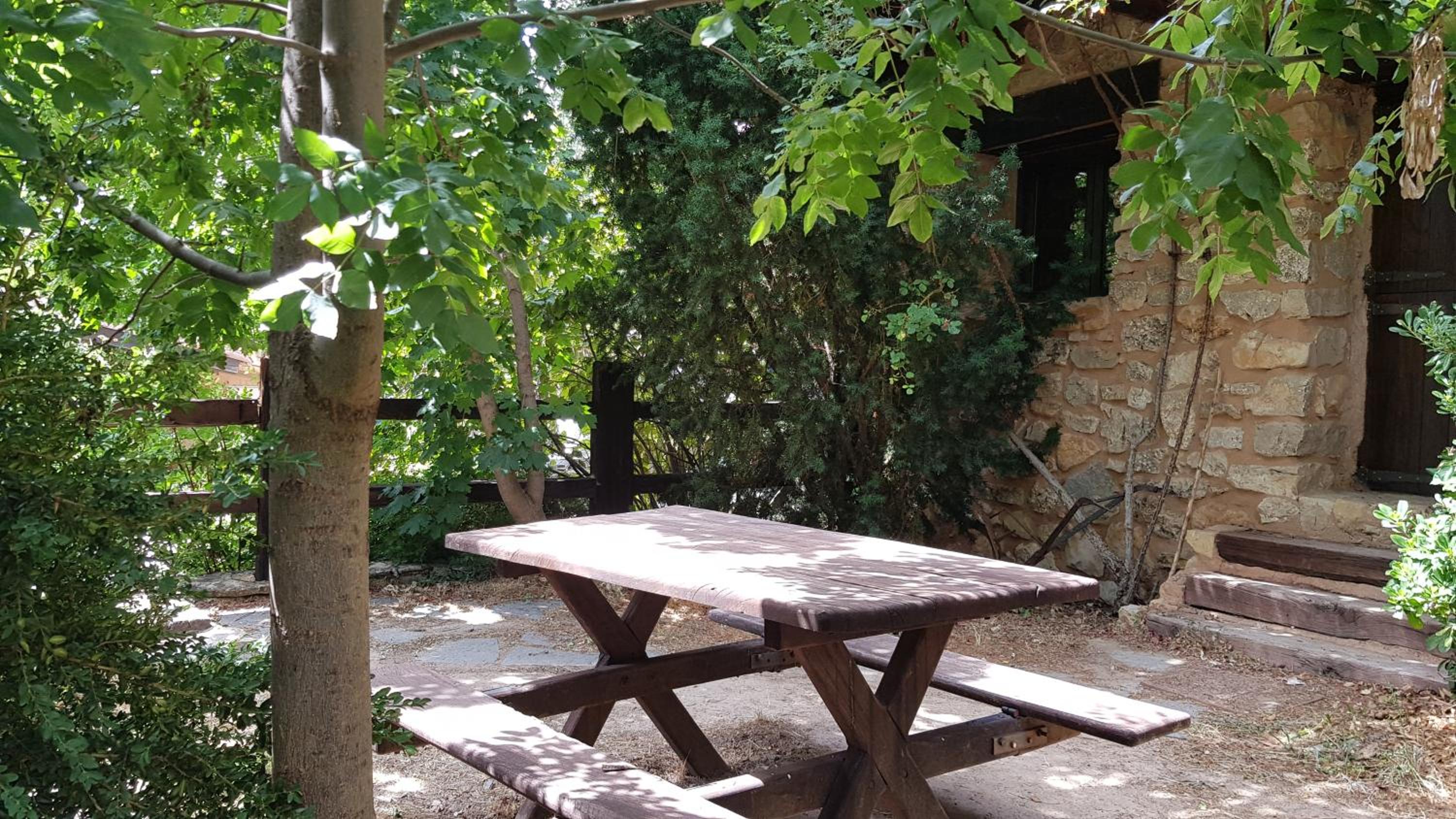 Acebos del Tajo