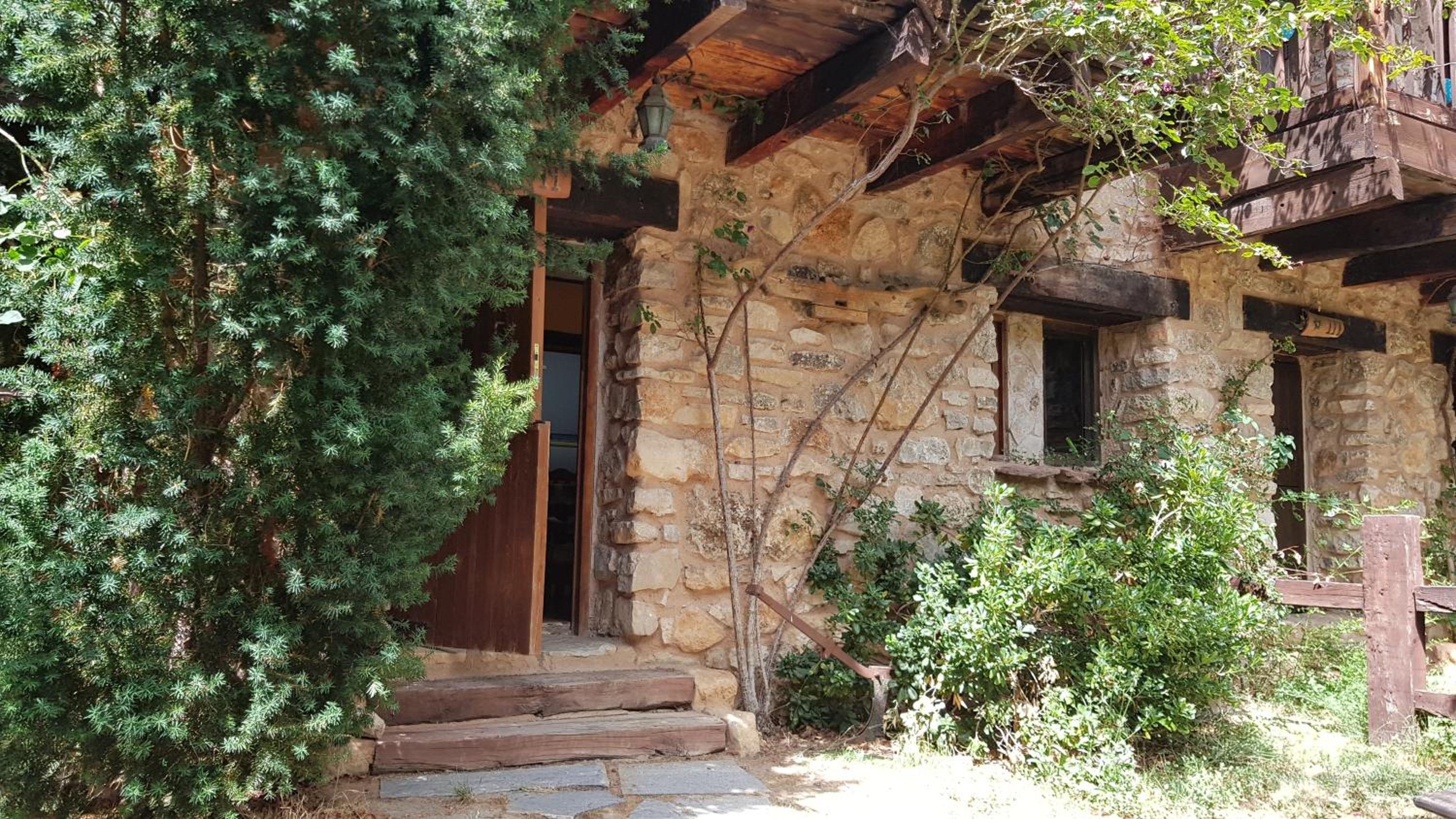 Acebos del Tajo