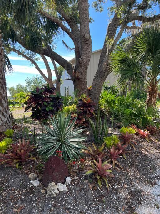 tropical bay house view 2