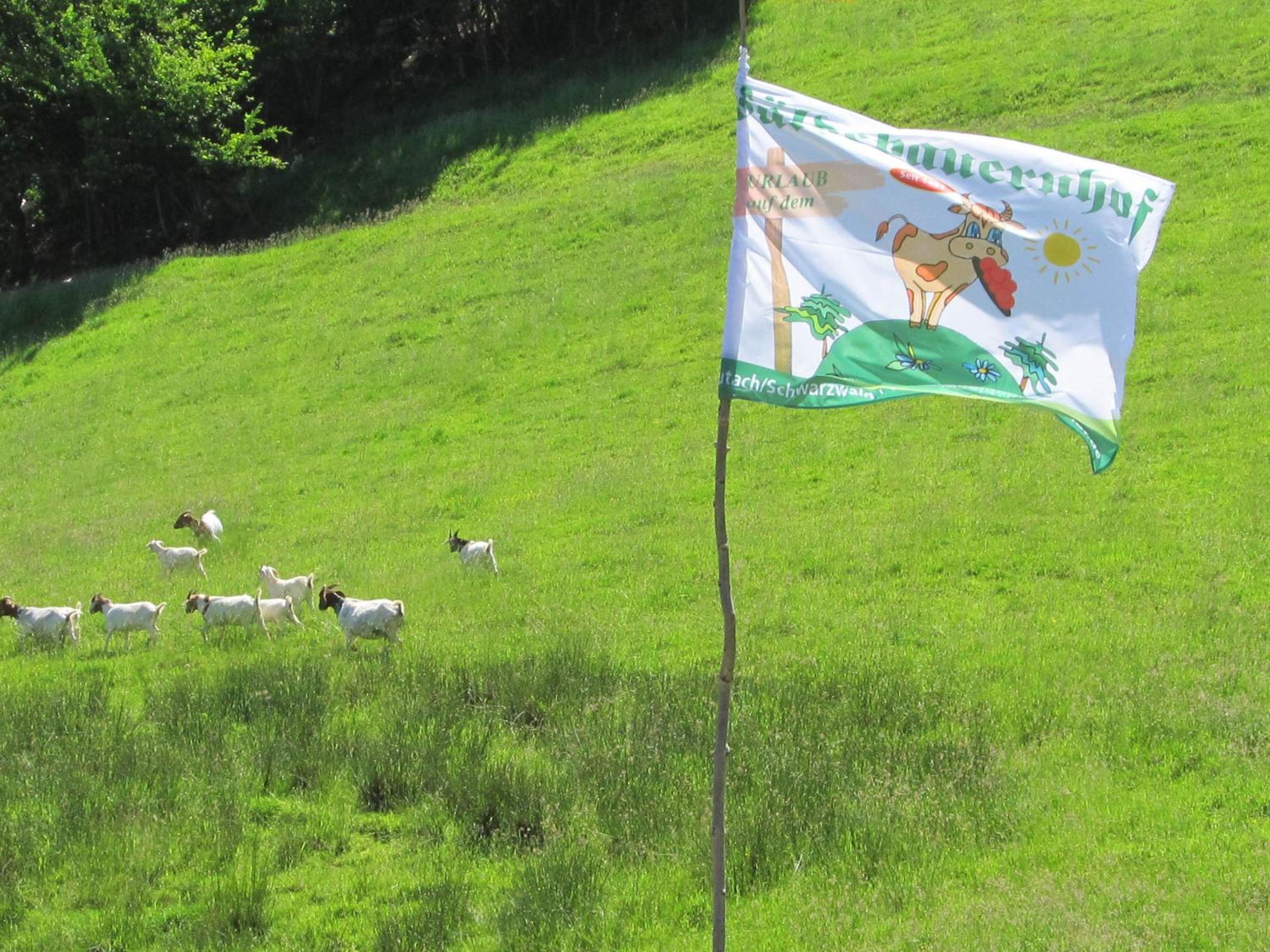 Wäldebauernhof