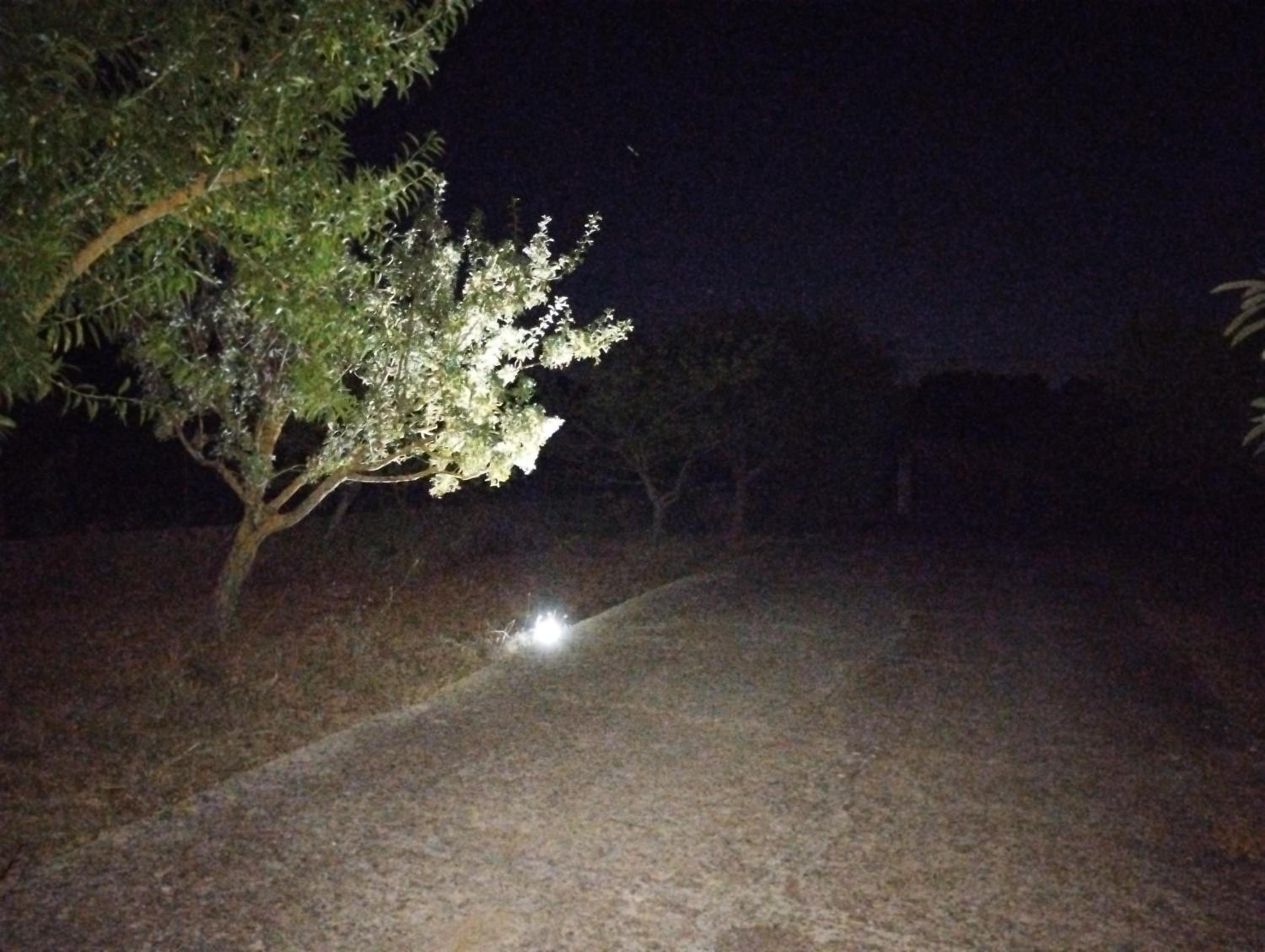 Photo 43