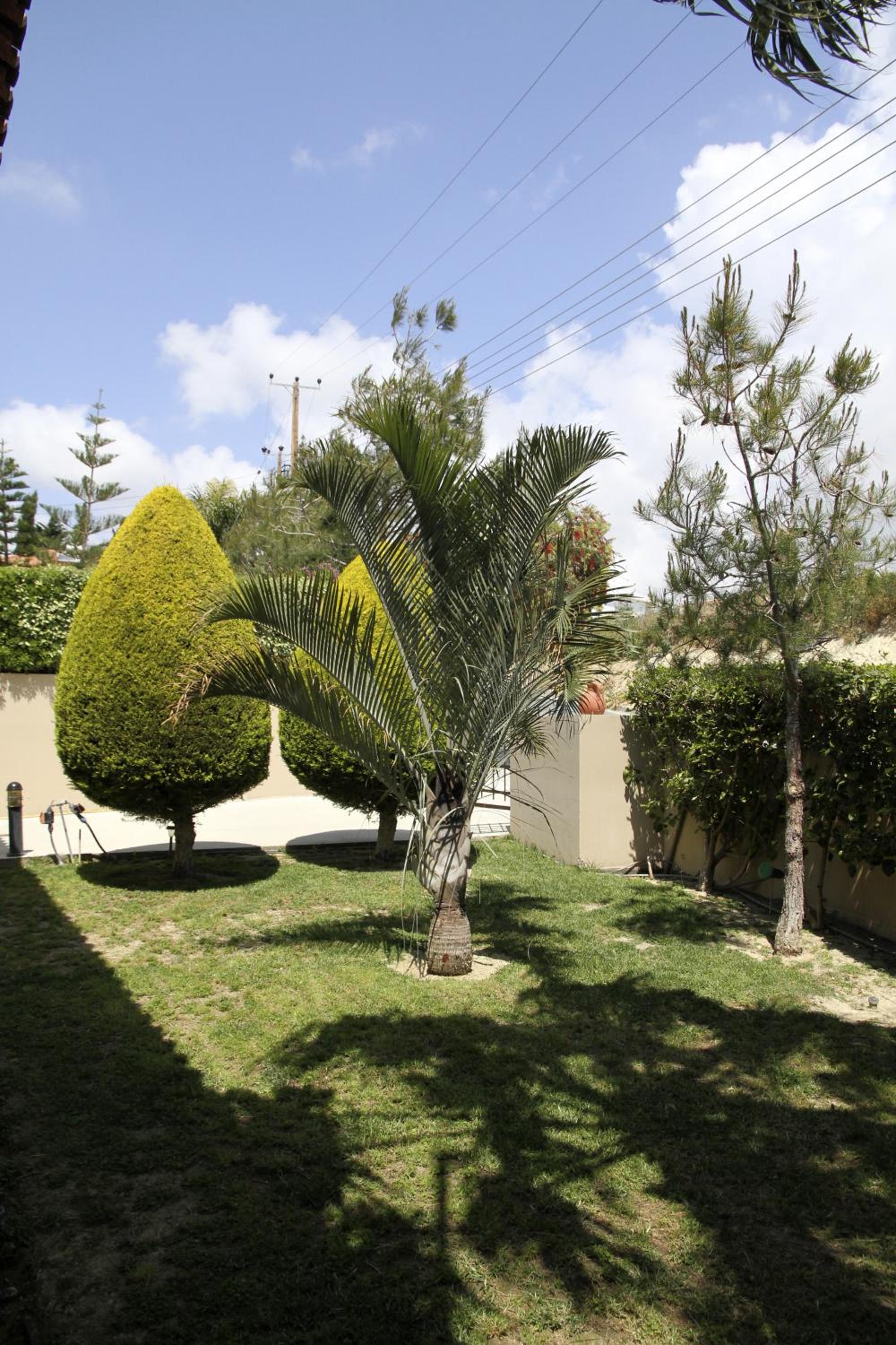 Eve Pissouri Xιnisteri Villa