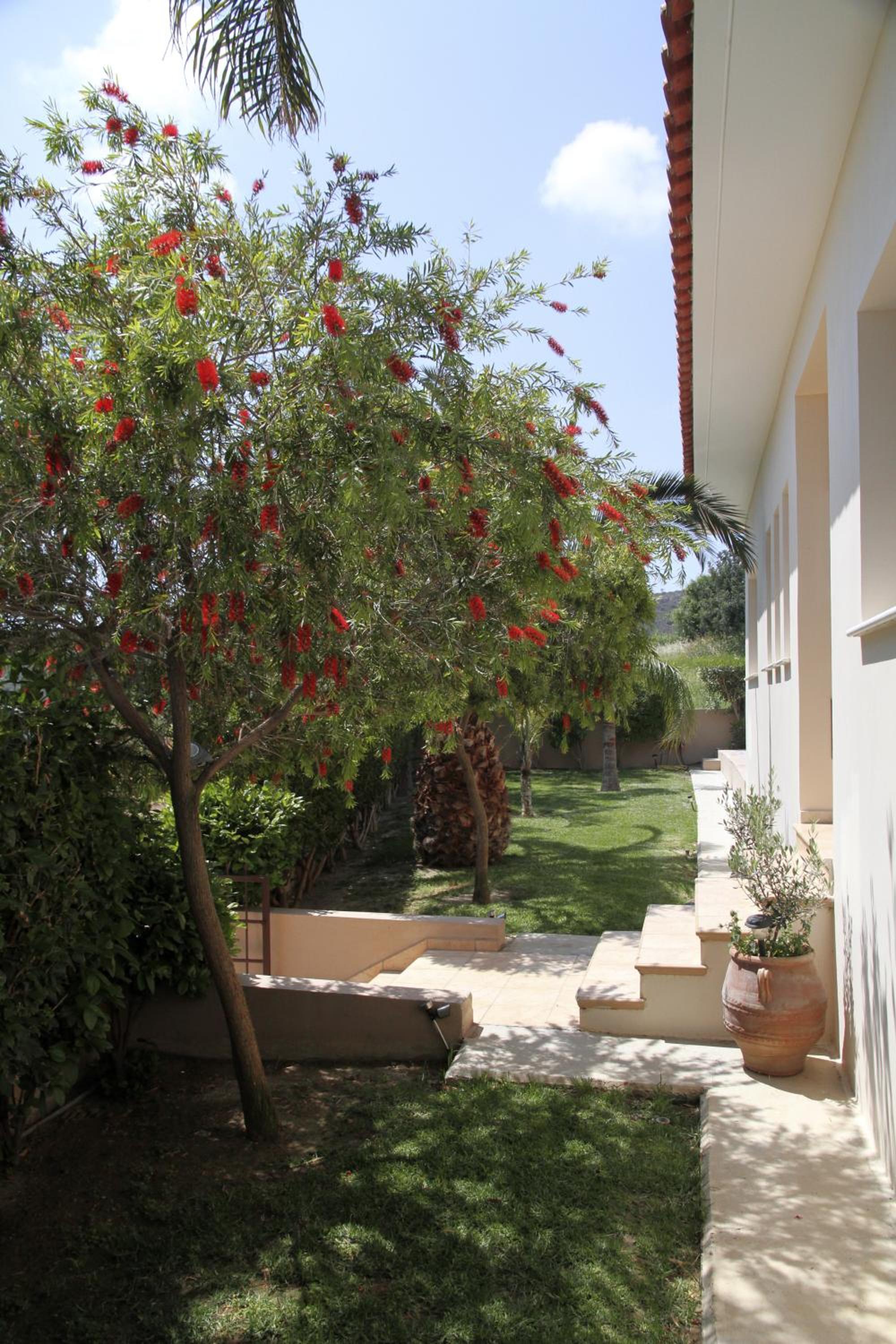 Eve Pissouri Xιnisteri Villa