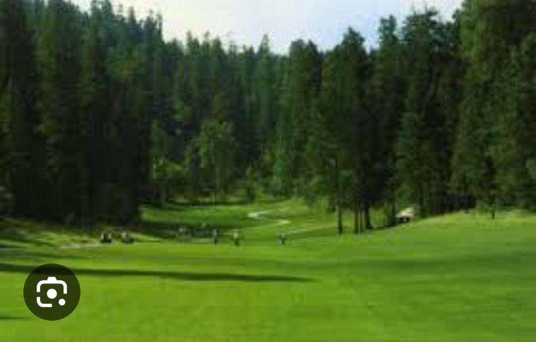 Photo 40