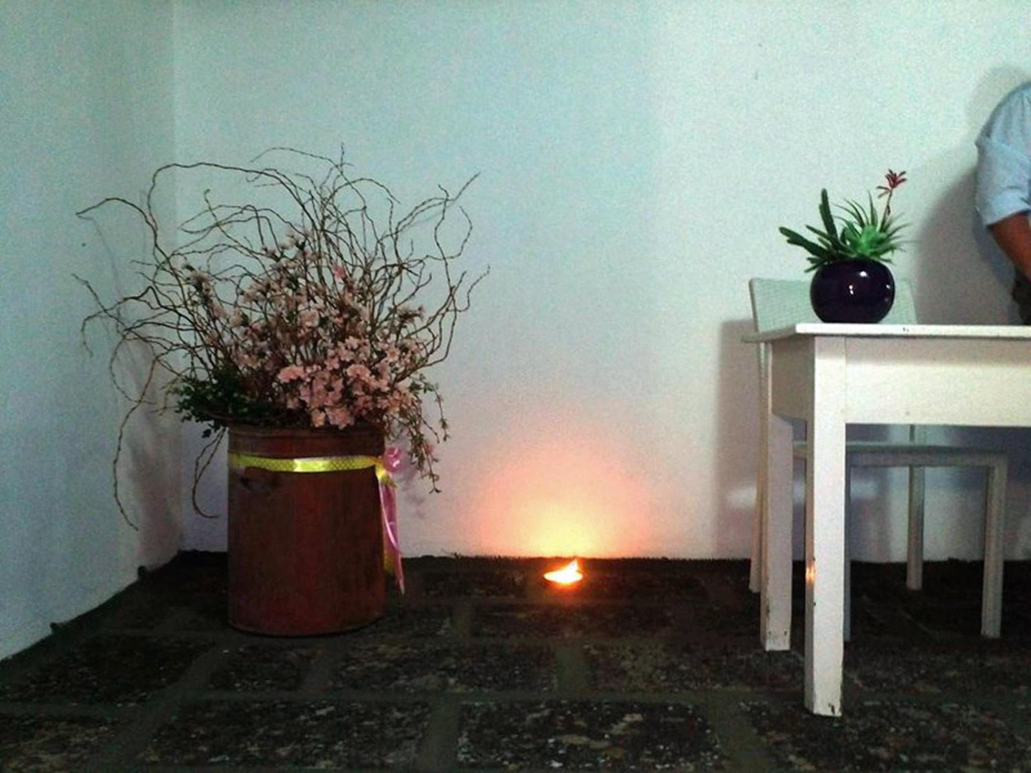 Photo 6