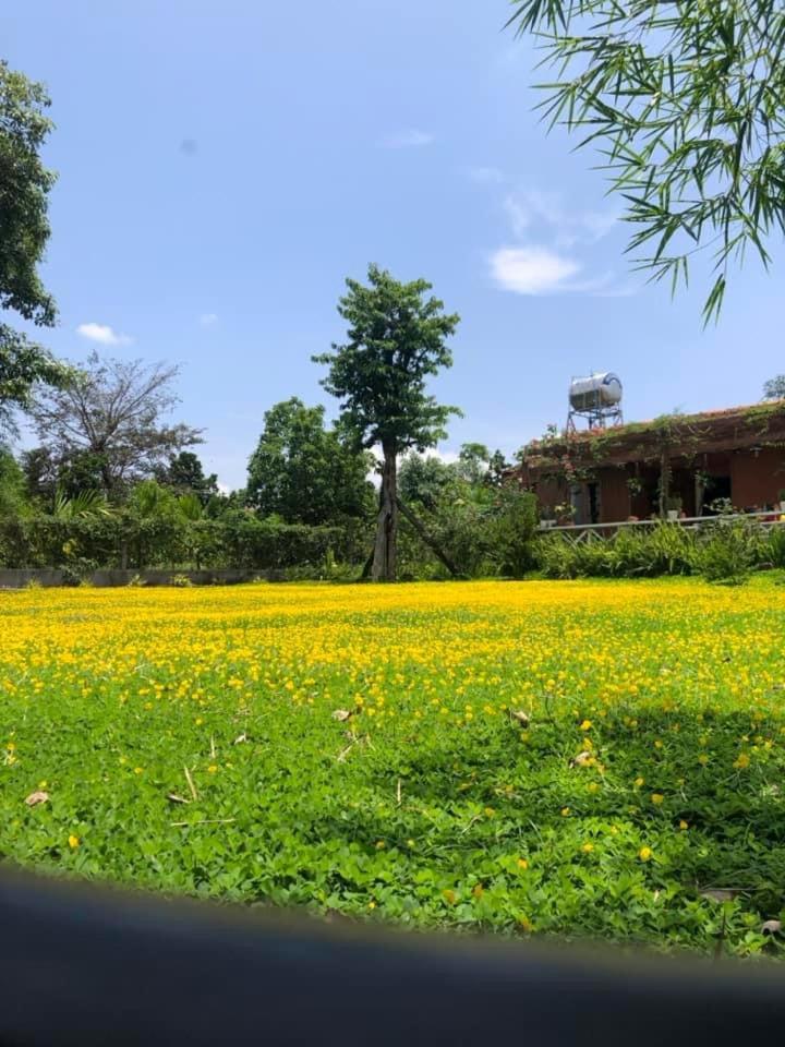 DuGiang Homestay