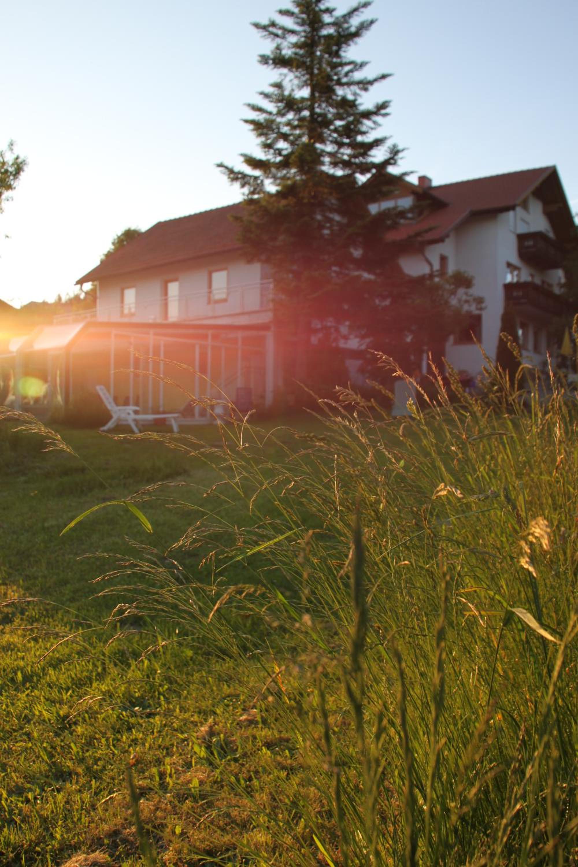 Gasthof-Pension Zum Haugstein - Familie Eder
