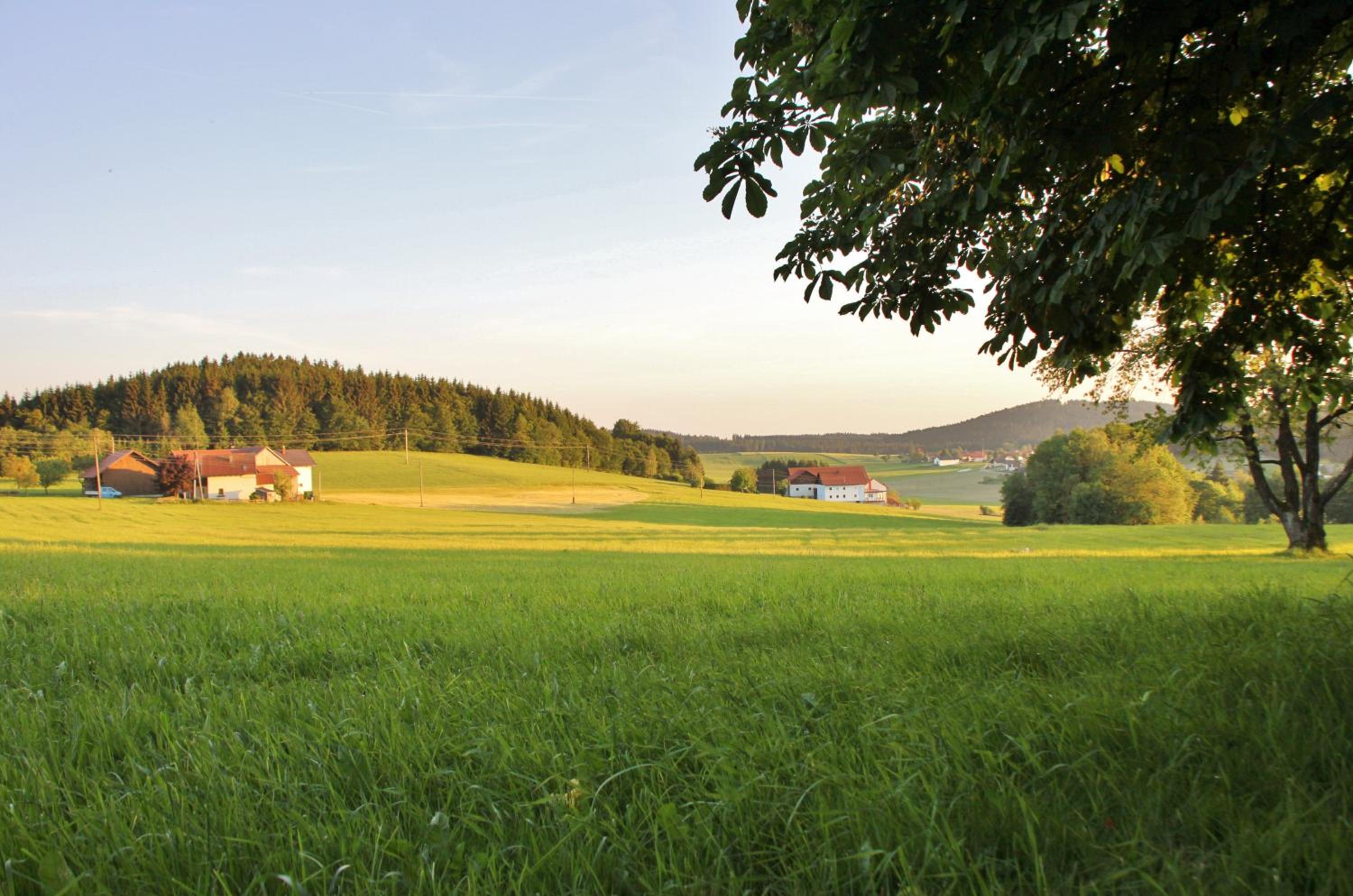 Gasthof-Pension Zum Haugstein - Familie Eder