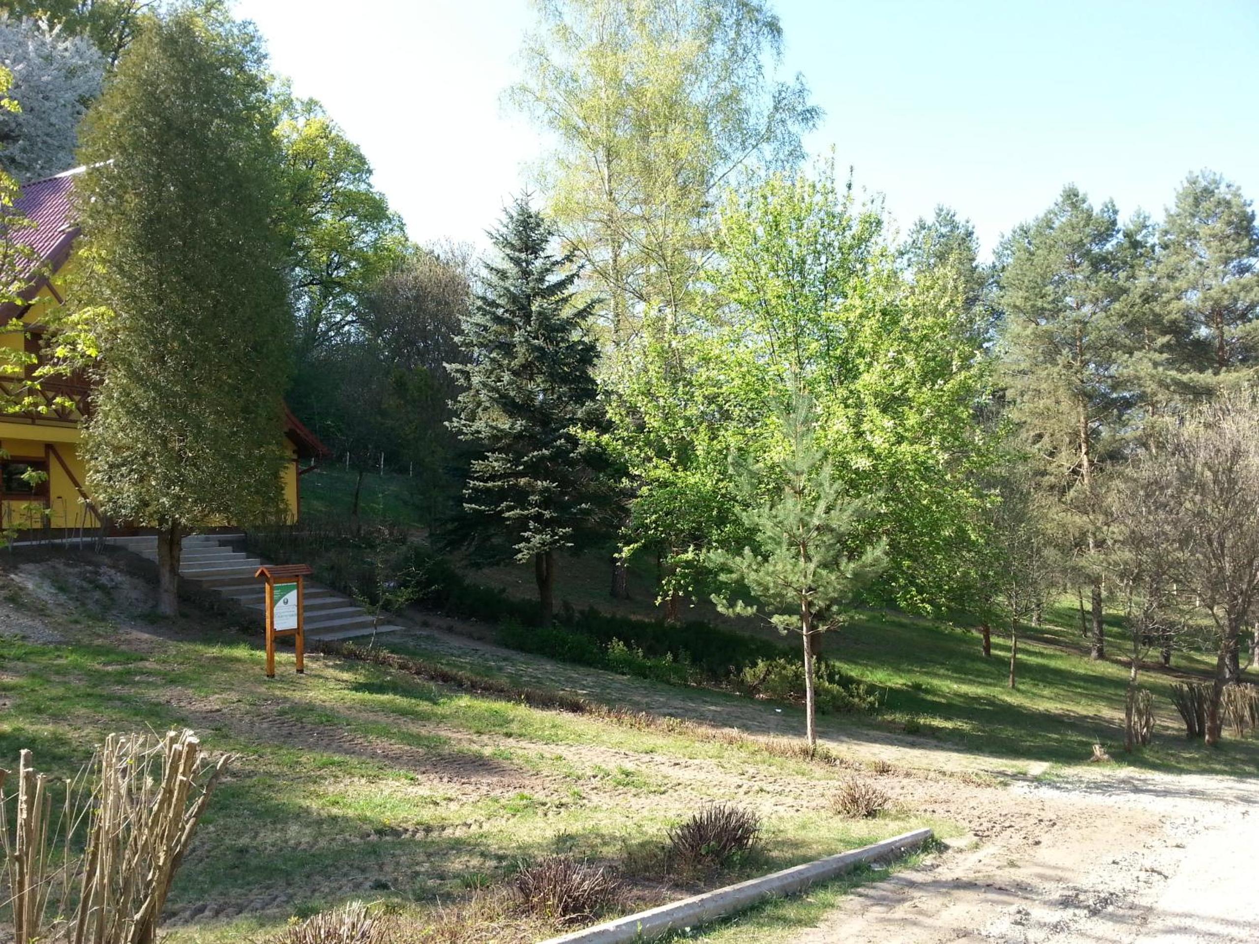 Photo 22