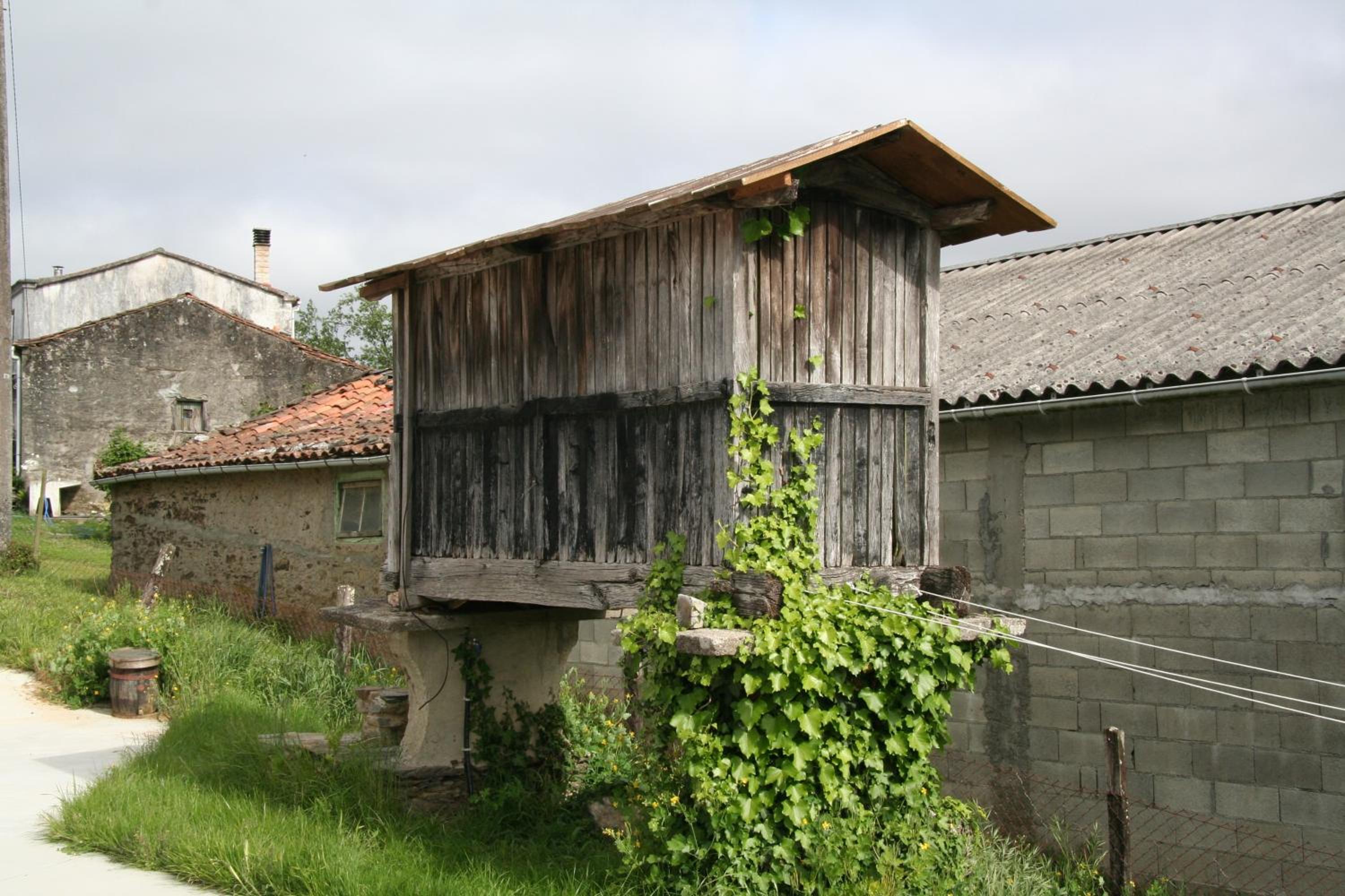 Photo 29