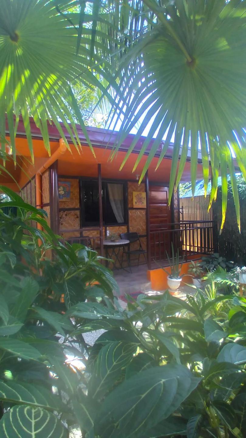 ADRIANA's PLACE TROPICAL GUESTHOUSE