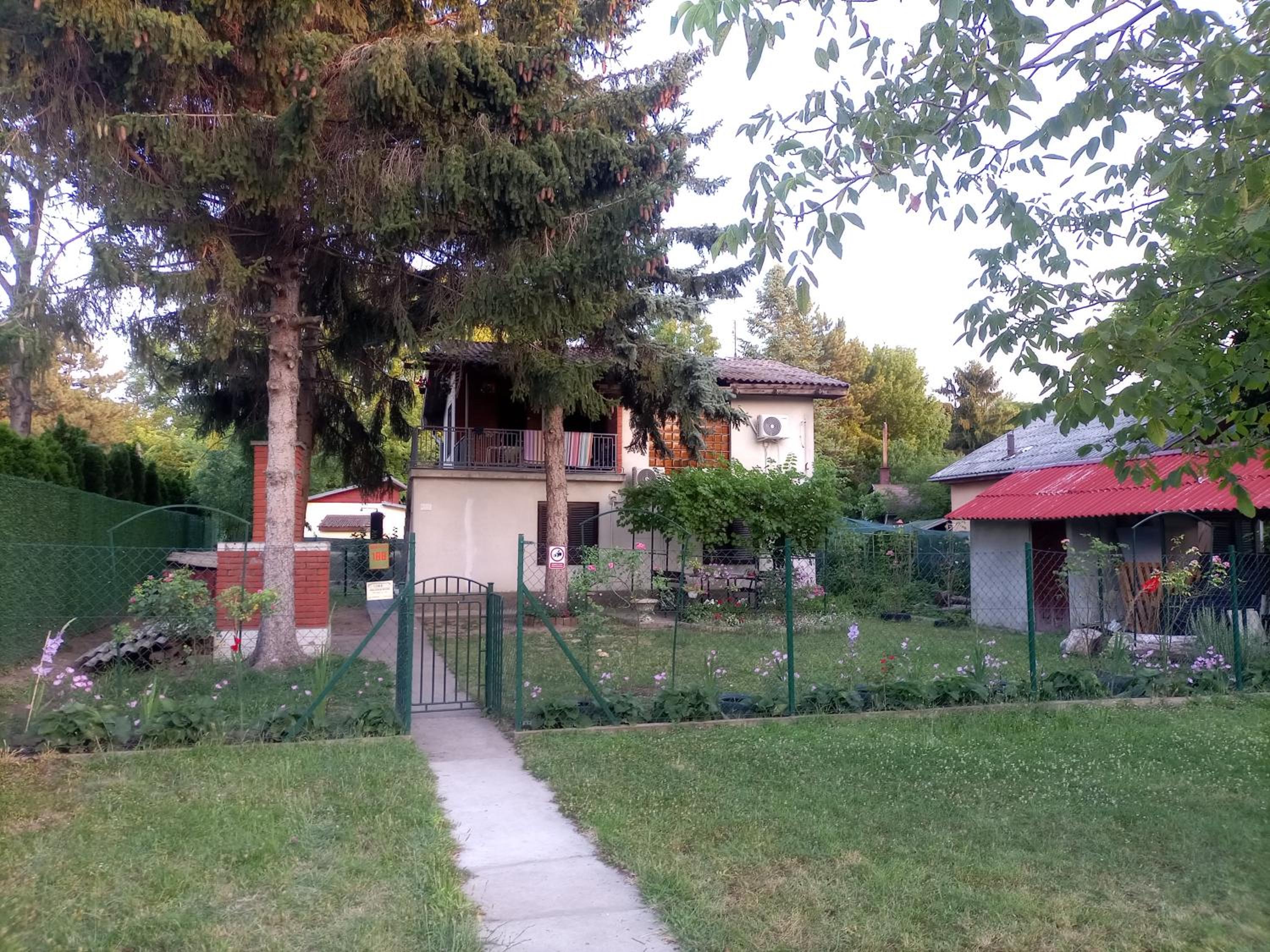 Photo 8