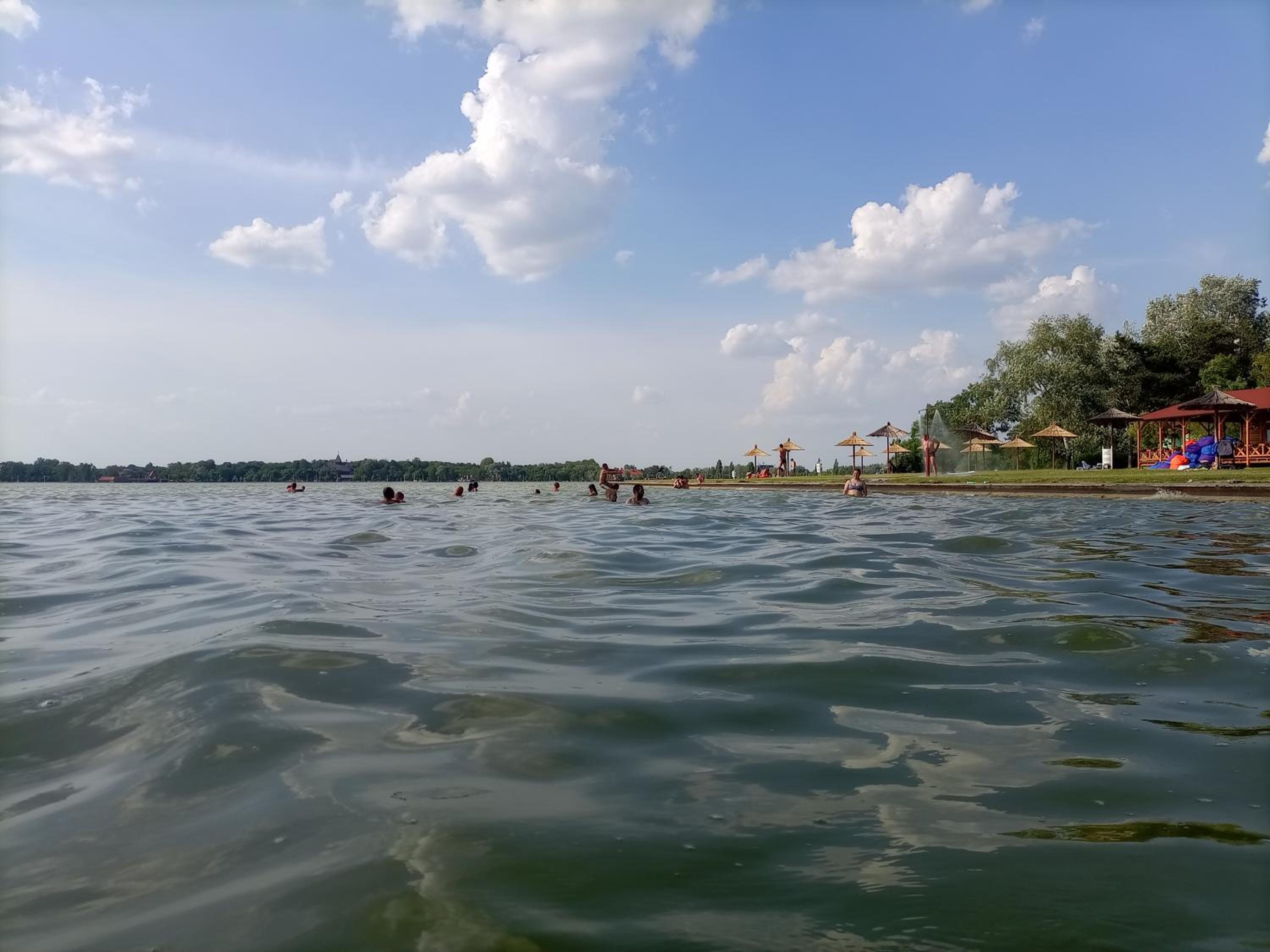 Palićka ruža - Palic rose view 5