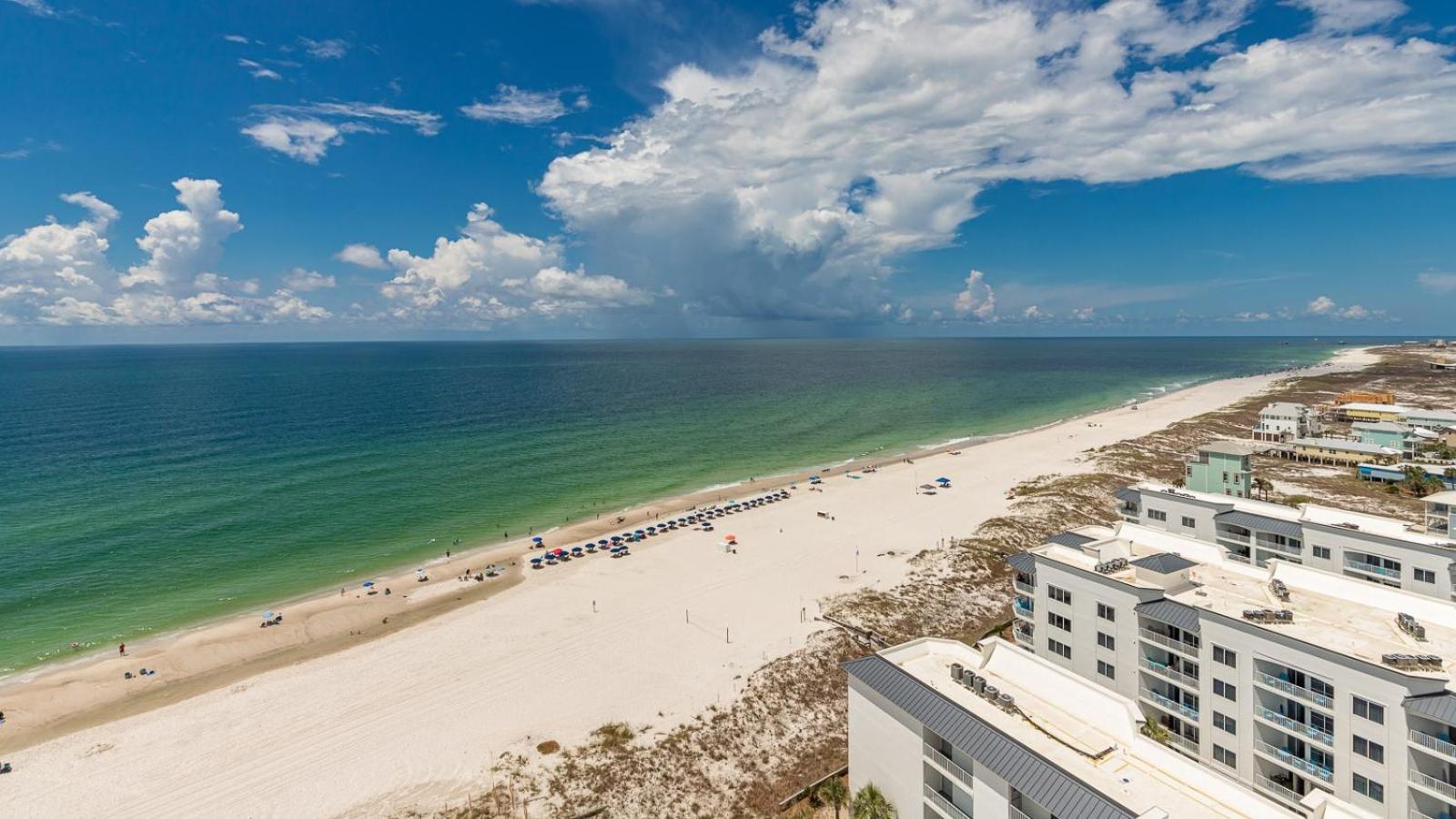 Phoenix Gulf Towers 1203