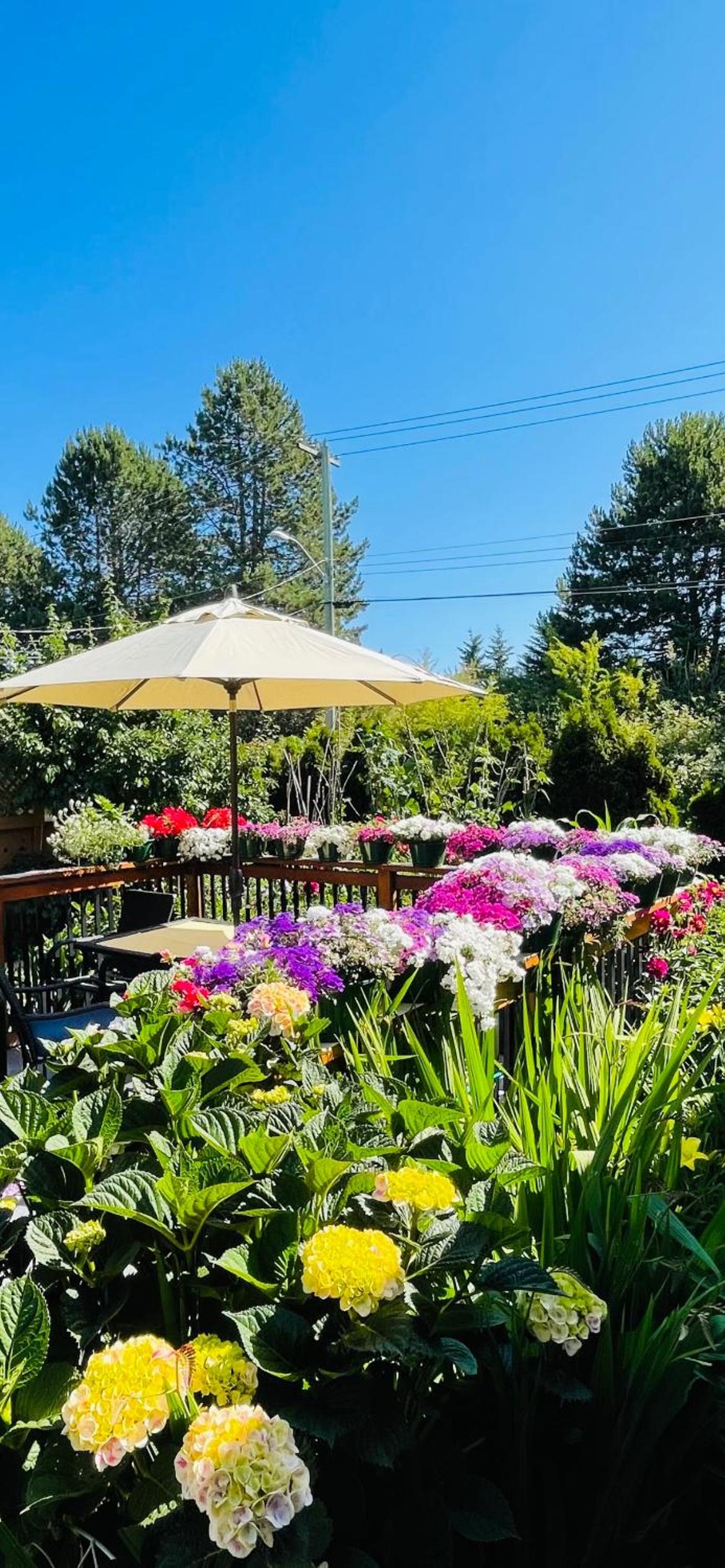 Garden home in Victoria