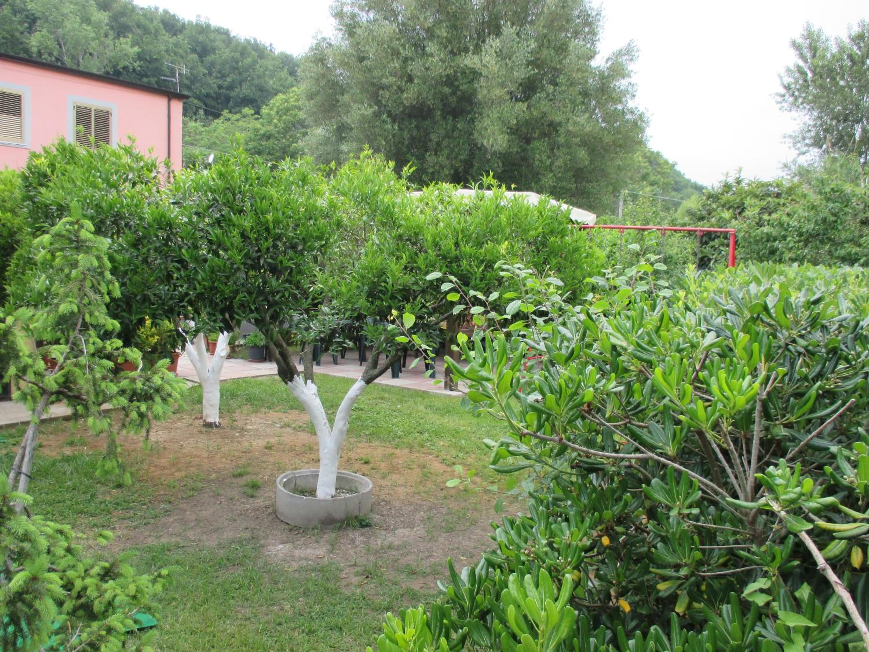 Photo 17