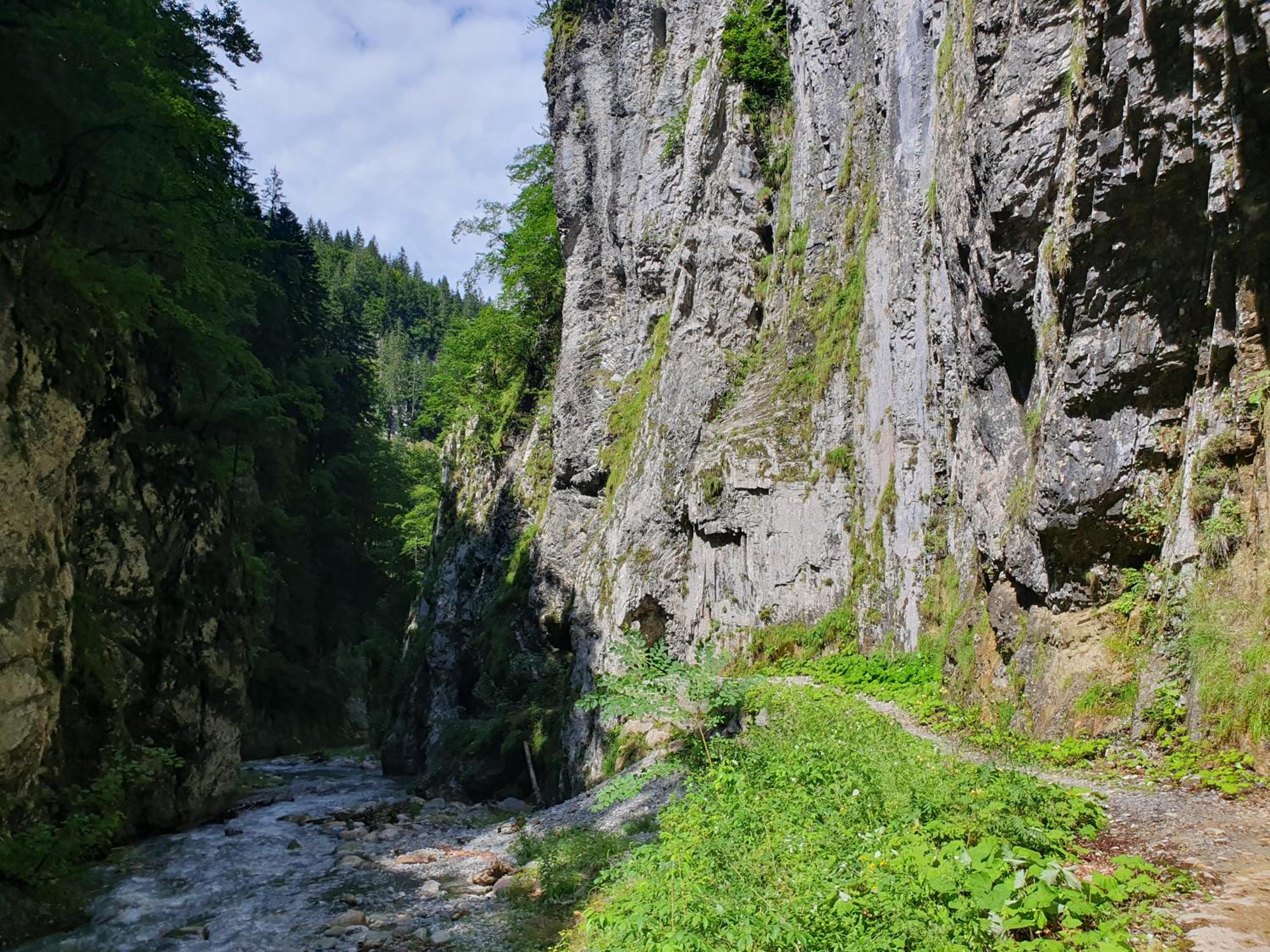 Alpensuss