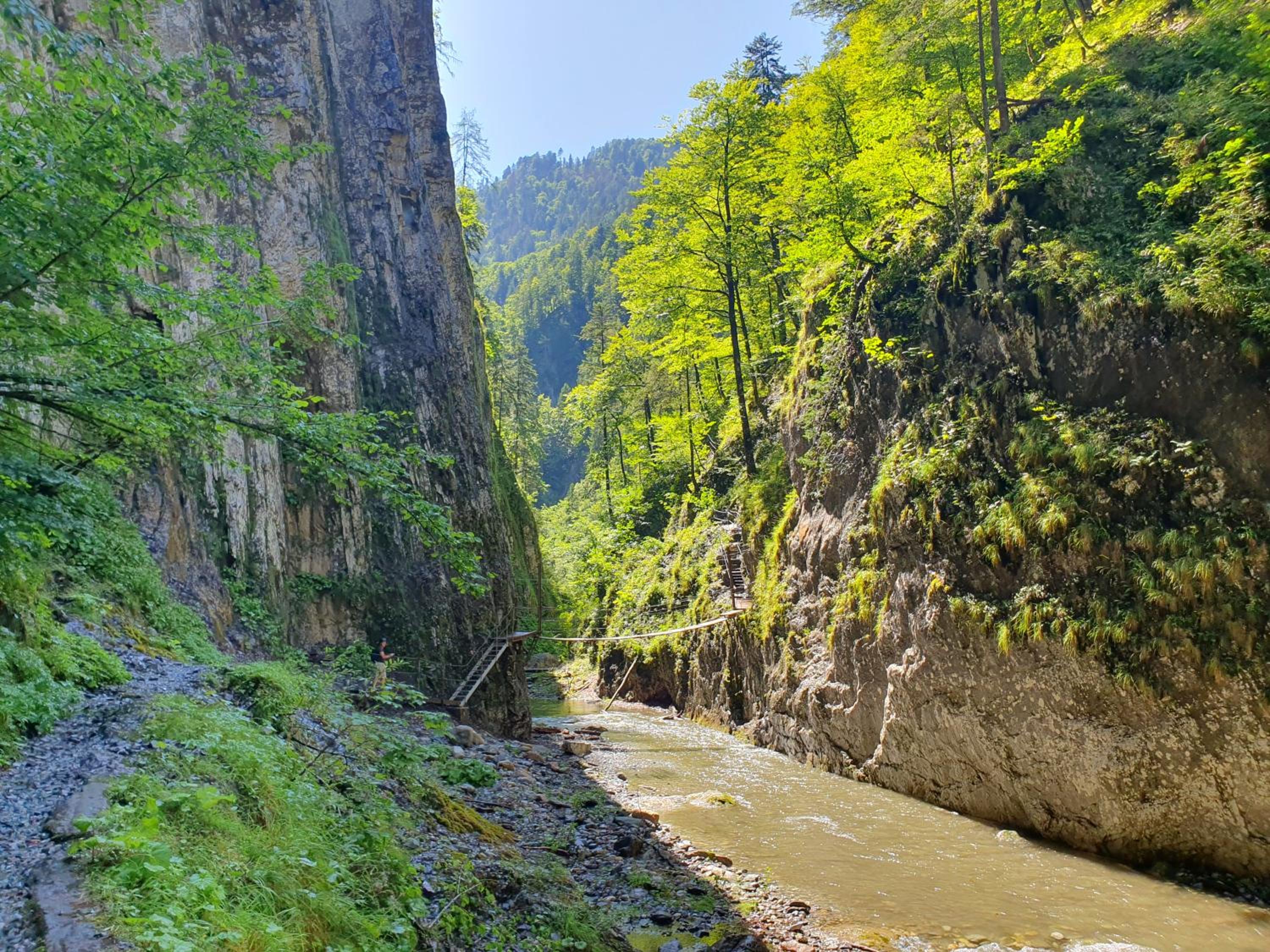 Alpensuss