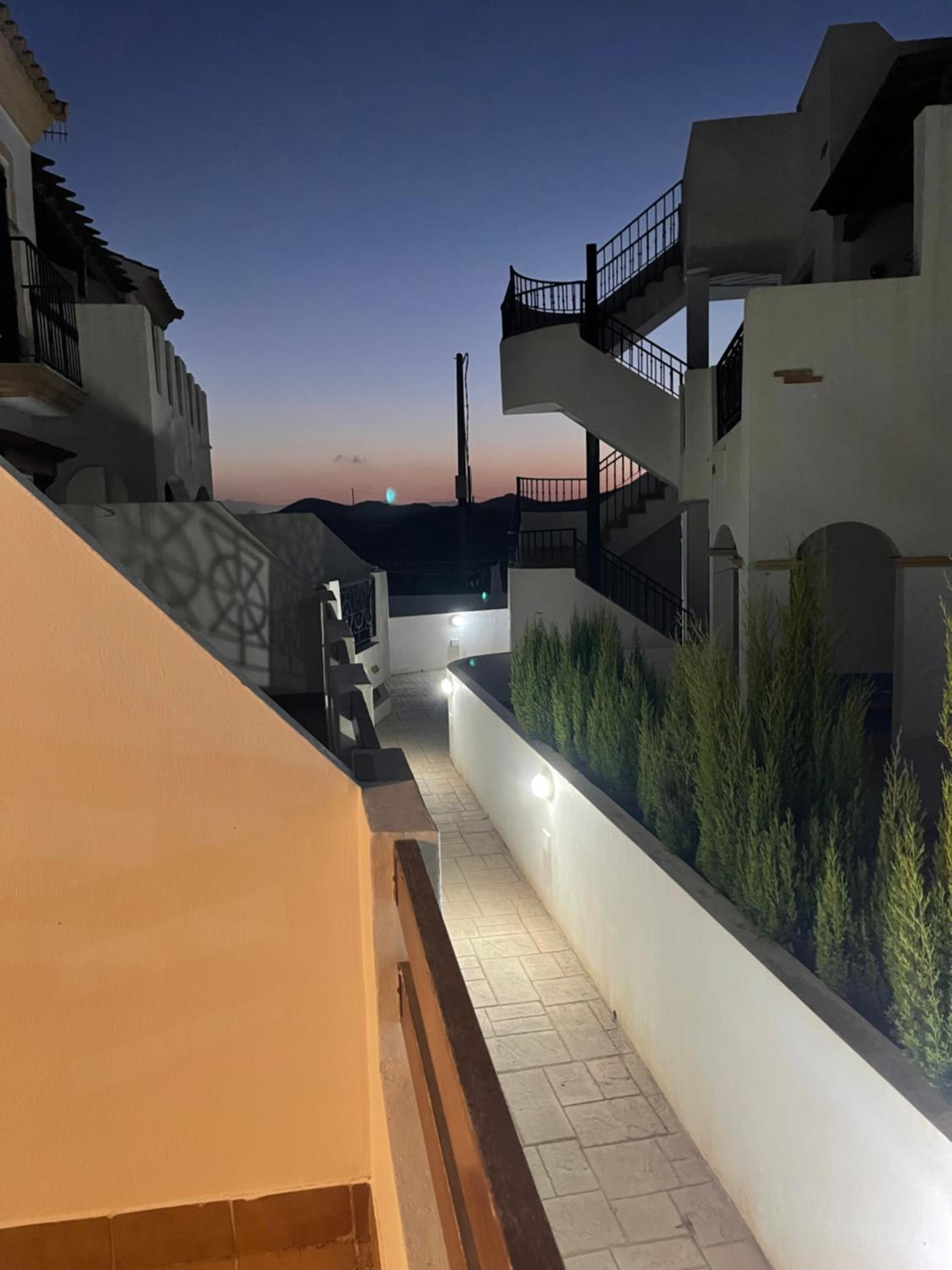 Casa Palmera