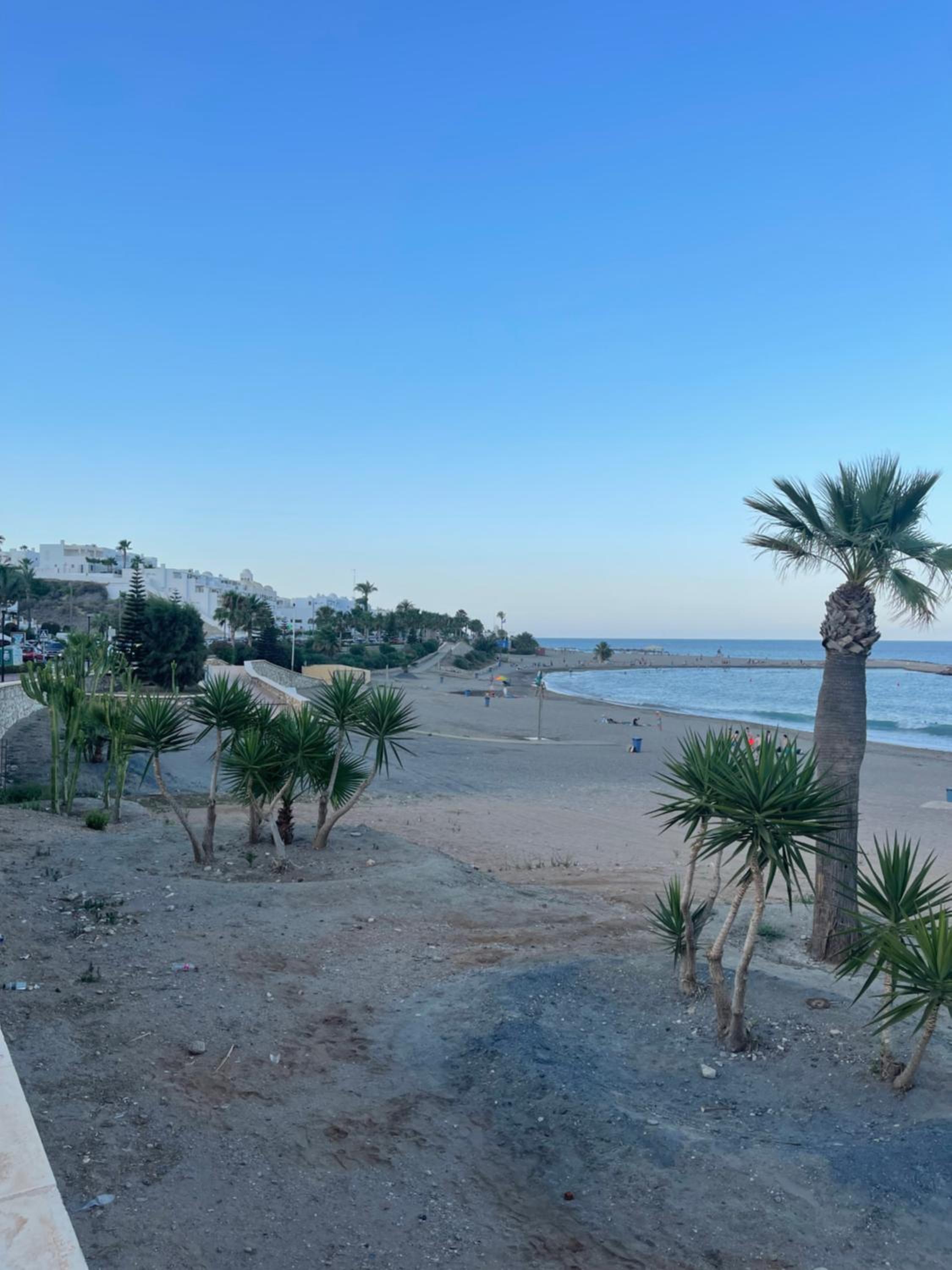 Casa Palmera