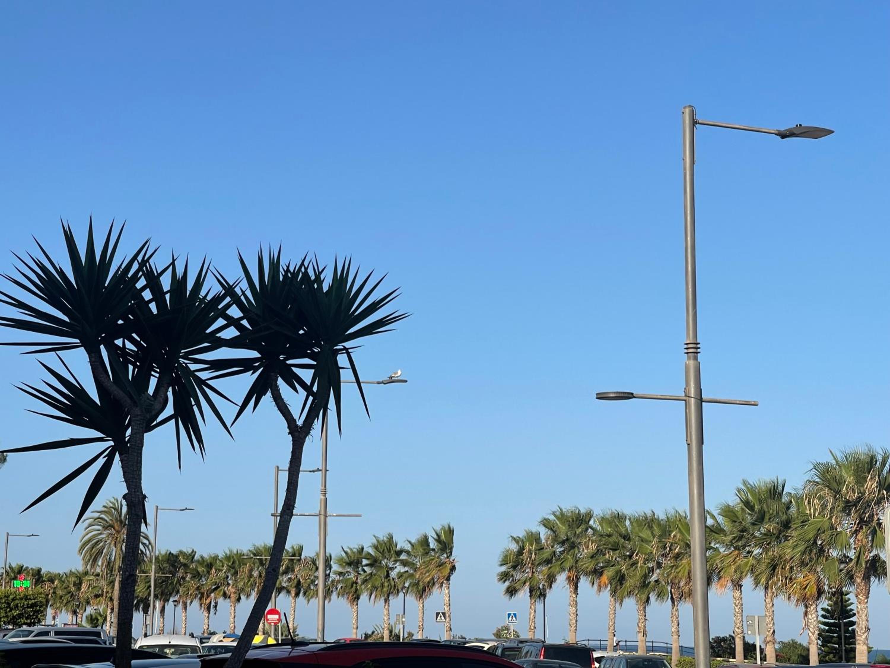 Casa Palmera